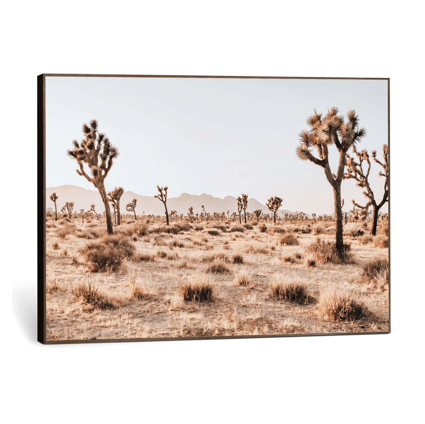 33549408-MGV-CV-36X24 - Joshua Tree Desert Canvas Wall Art Print - Desert Landscape Photography, Boho Southwest Wall Decor, Nature Canvas, Ready to Hang