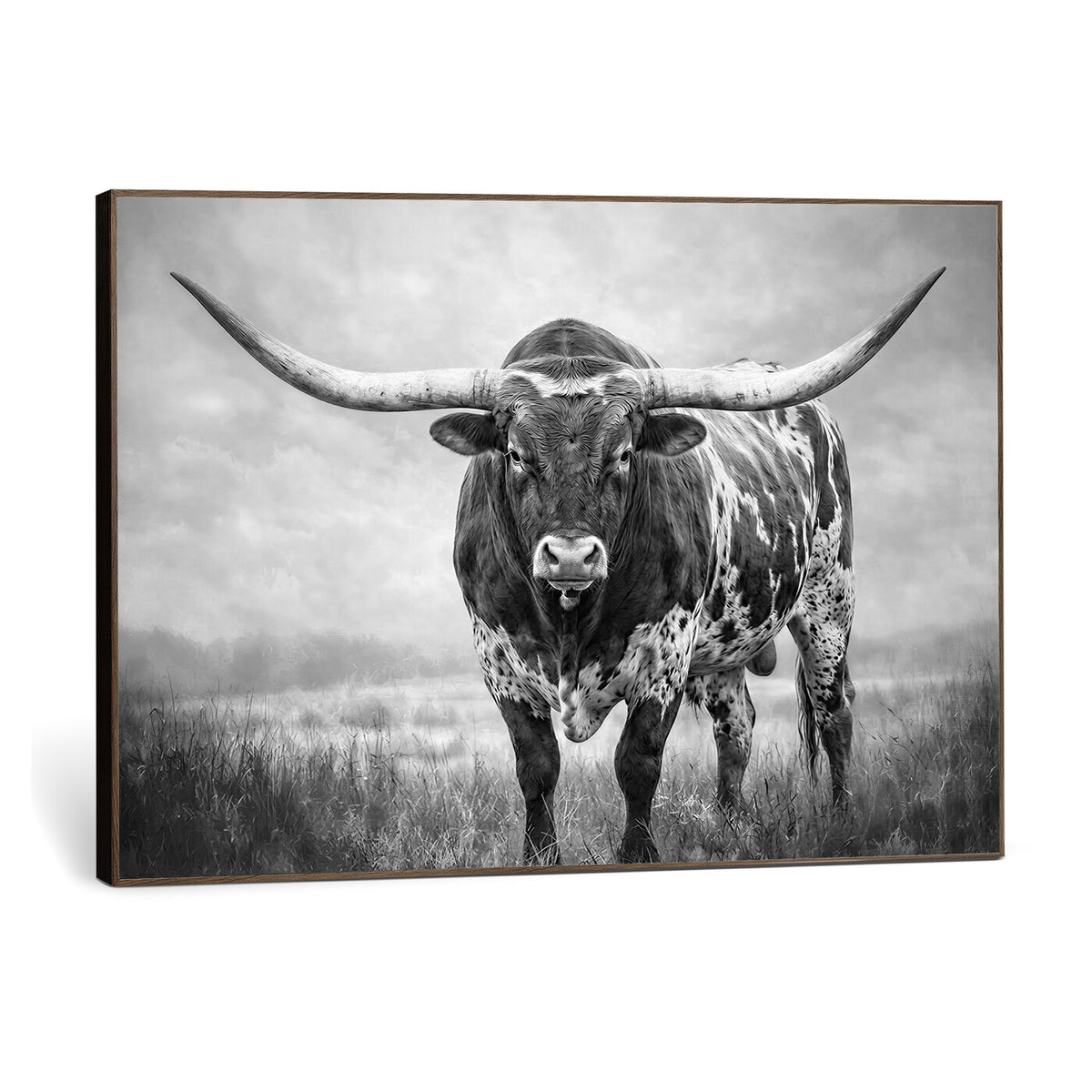 11121585-MGV-CV-36X24 - Texas Bull Wall Art Canvas Print for Farmhouse Restaurant Wall Decor