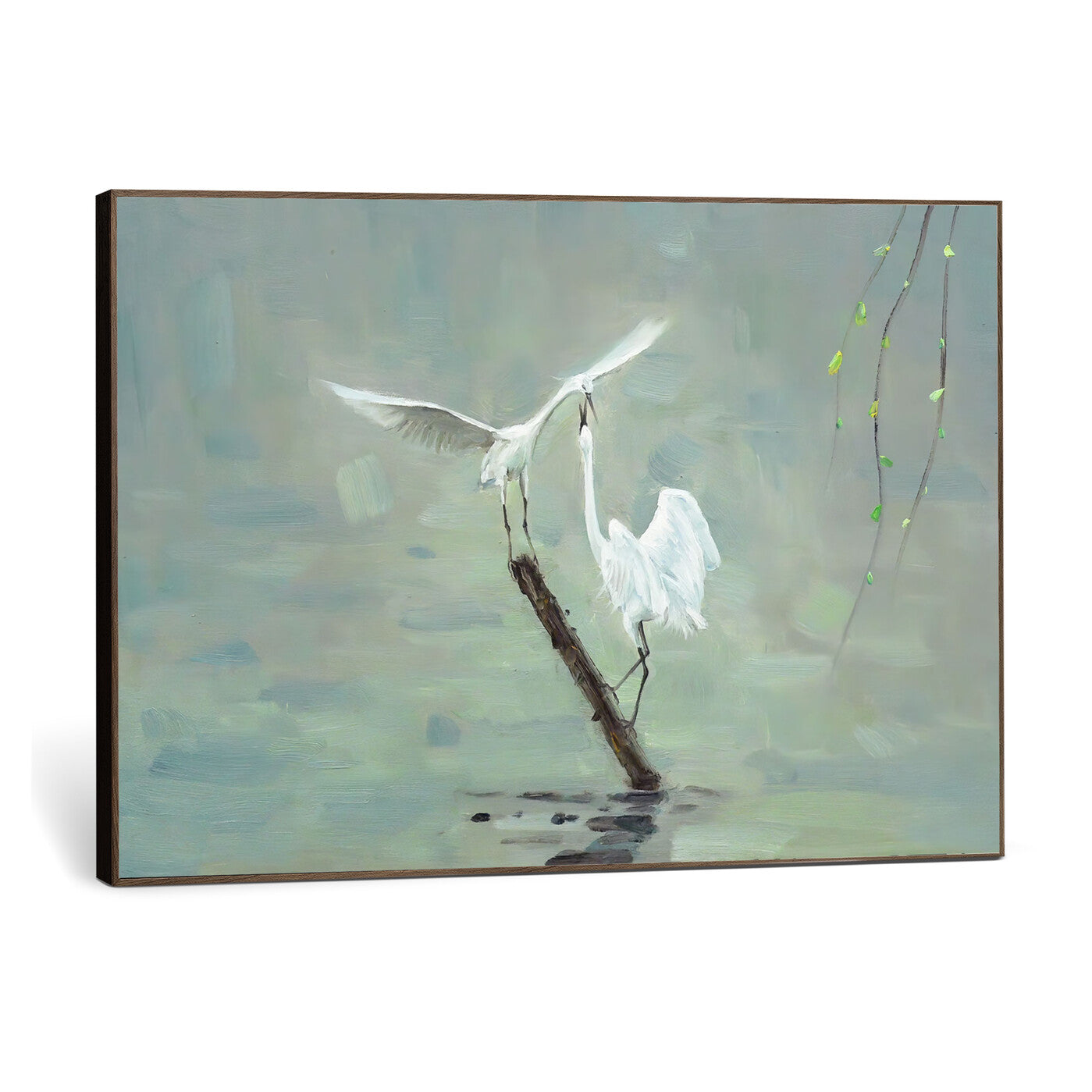 91124838-MGV-CV-36X24 - Two White Egrets on Marsh Branch Wall Art Canvas Print - Vintage Style Coastal Bird Poster