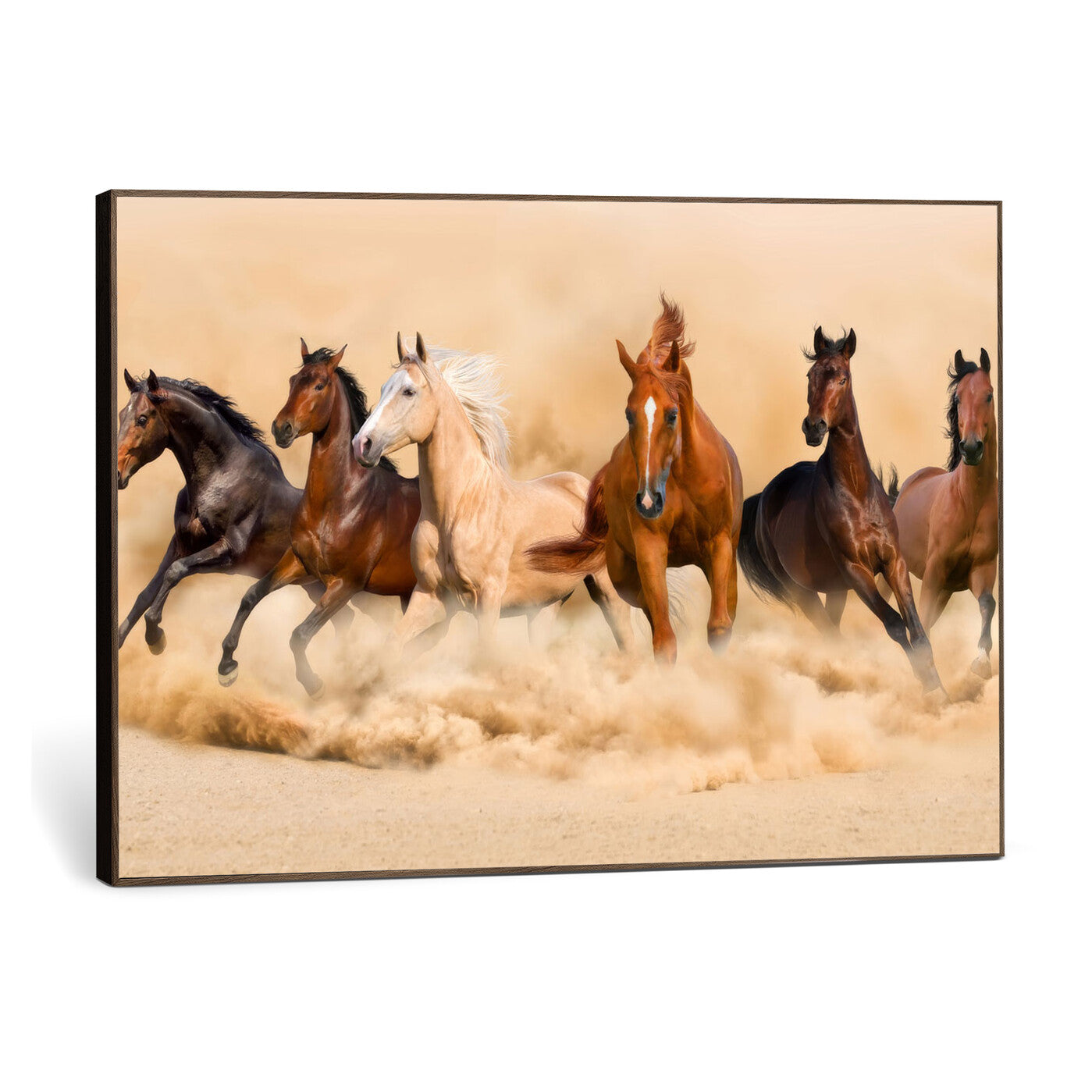 90610949-MGV-CV-36X24 - Herd of Six Wild Horses Galloping in Dust Storm Wall Art Canvas Print - Majestic Wildlife Decor