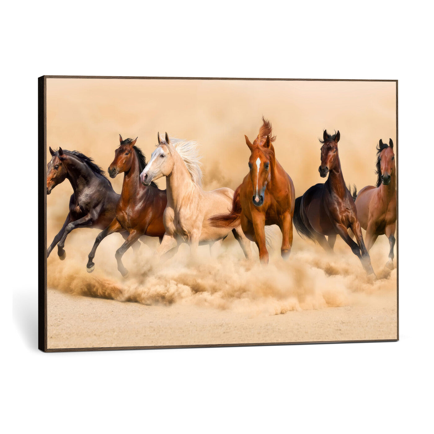 90610949-MGV-CV-36X24 - Herd of Six Wild Horses Galloping in Dust Storm Wall Art Canvas Print - Majestic Wildlife Decor