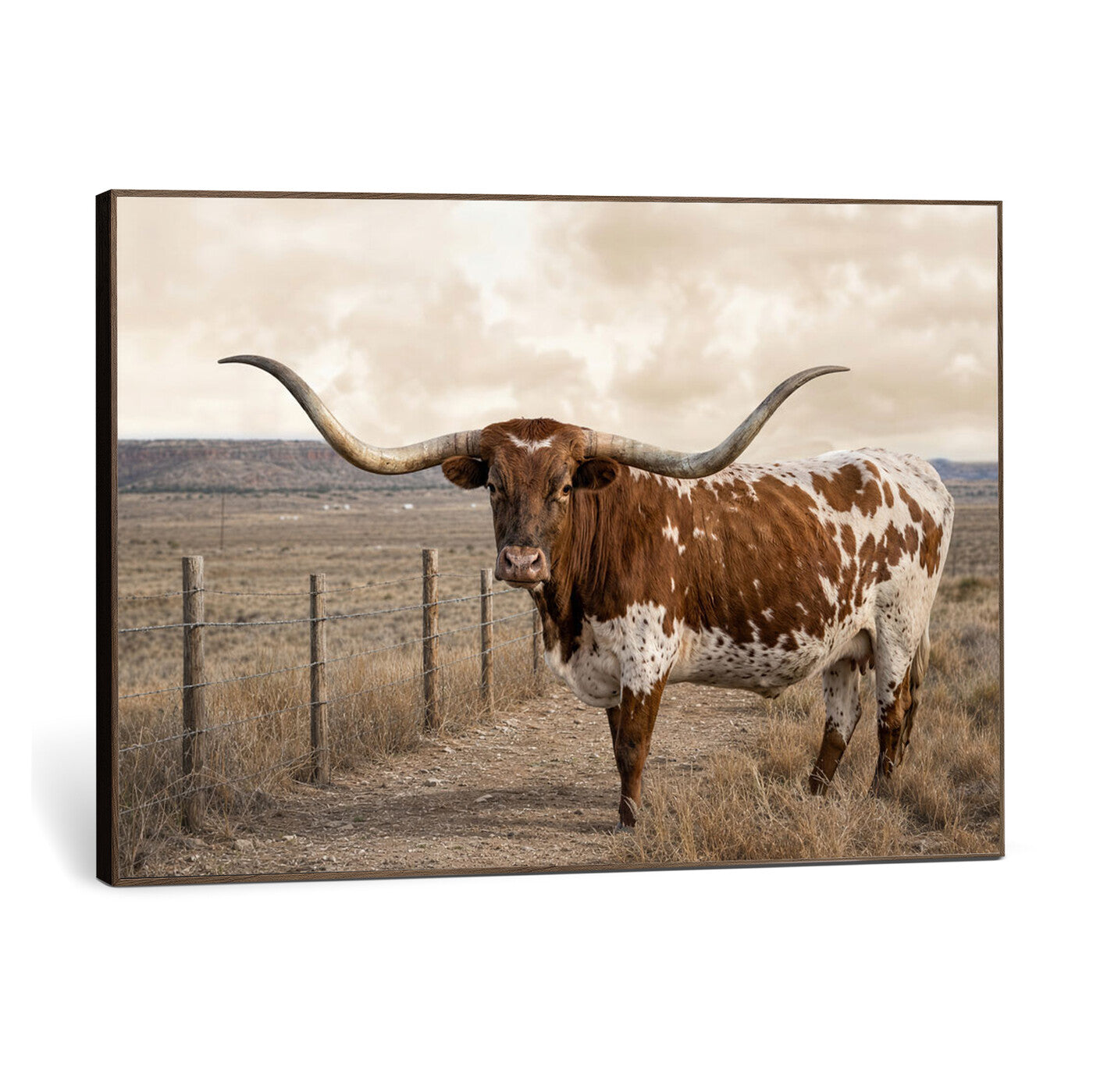 22808364-MGV-CV-36X24 - Texas Longhorn Cattle in Desert Pasture Wall Art Canvas Print - Rustic Western Decor
