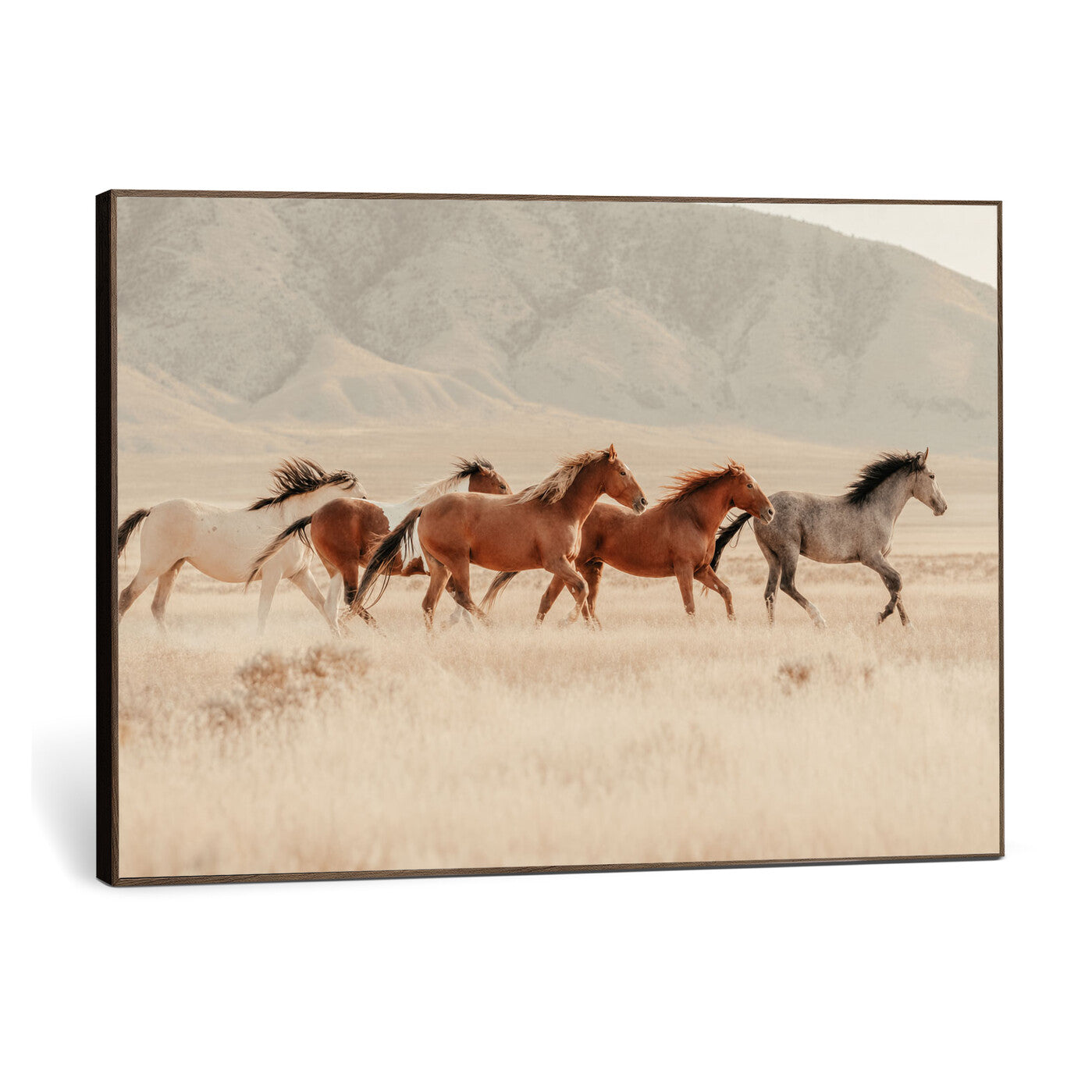 43348446-MGV-CV-36X24 - Herd of Wild Horses Running in Desert Mountain Wall Art Canvas Print - Boho Western Landscape