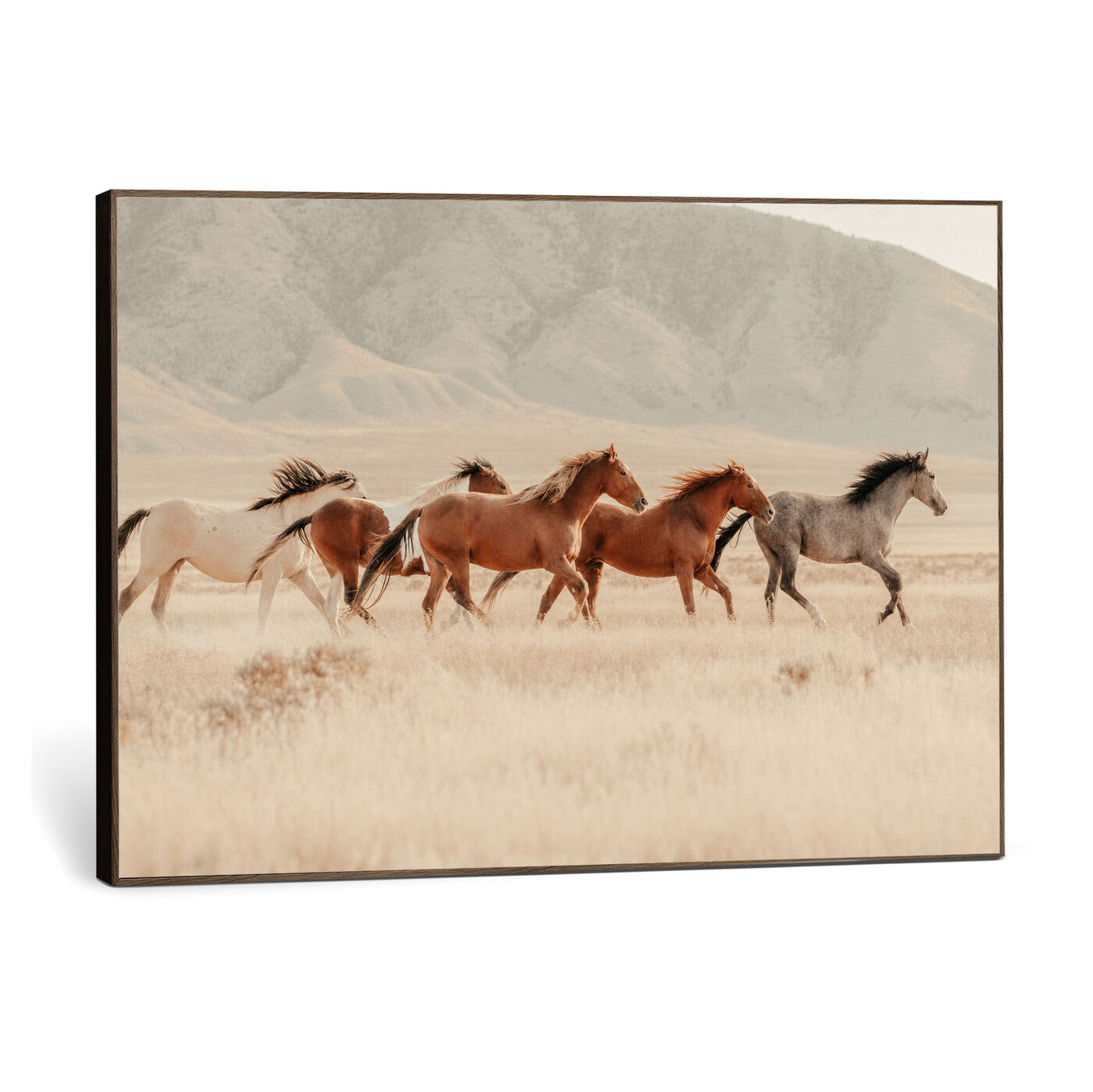 43348446-MGV-CV-36X24 - Herd of Wild Horses Running in Desert Mountain Wall Art Canvas Print - Boho Western Landscape