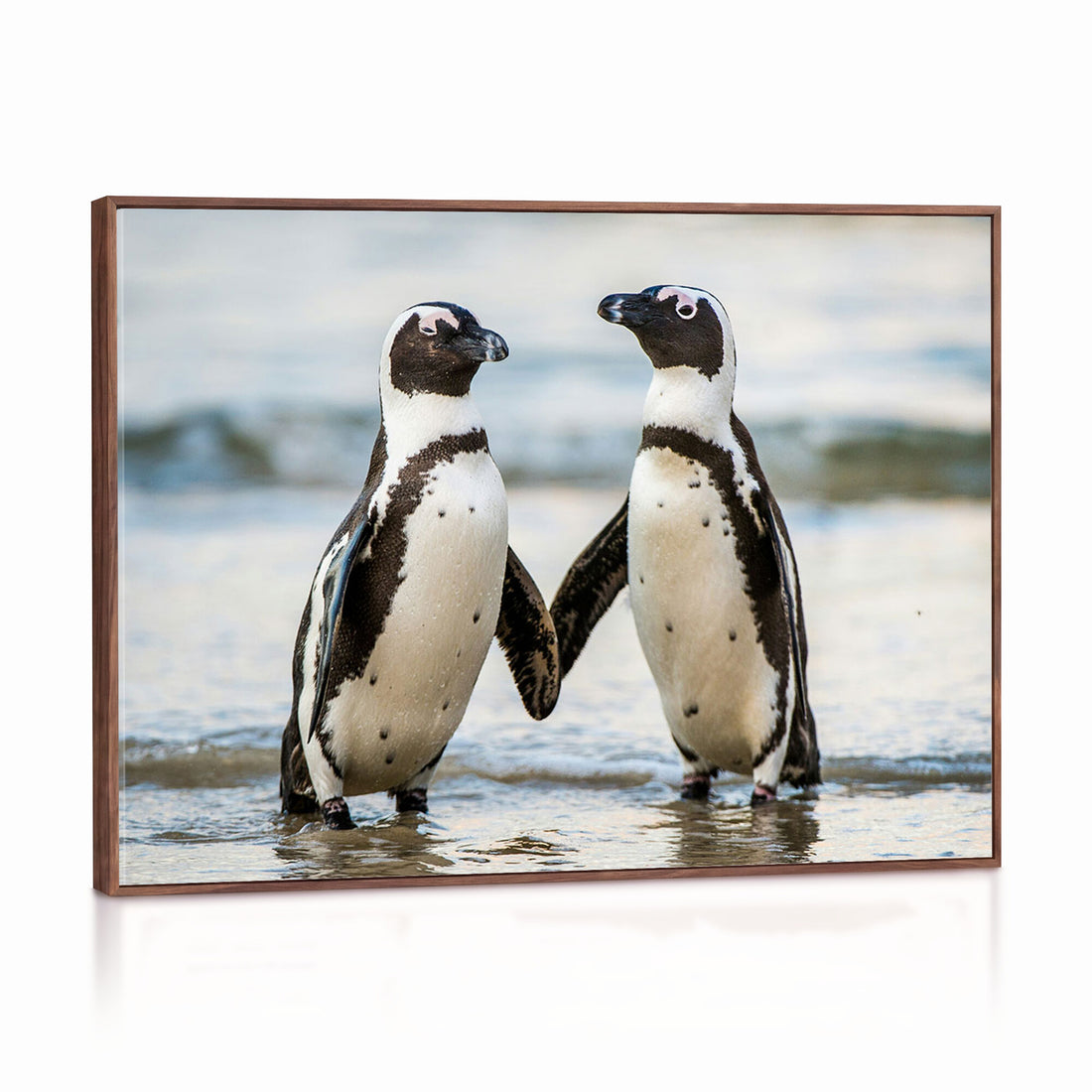 African Penguins Boulders Beach Wall Art Canvas Print, Cute Penguin Couple Photo Print