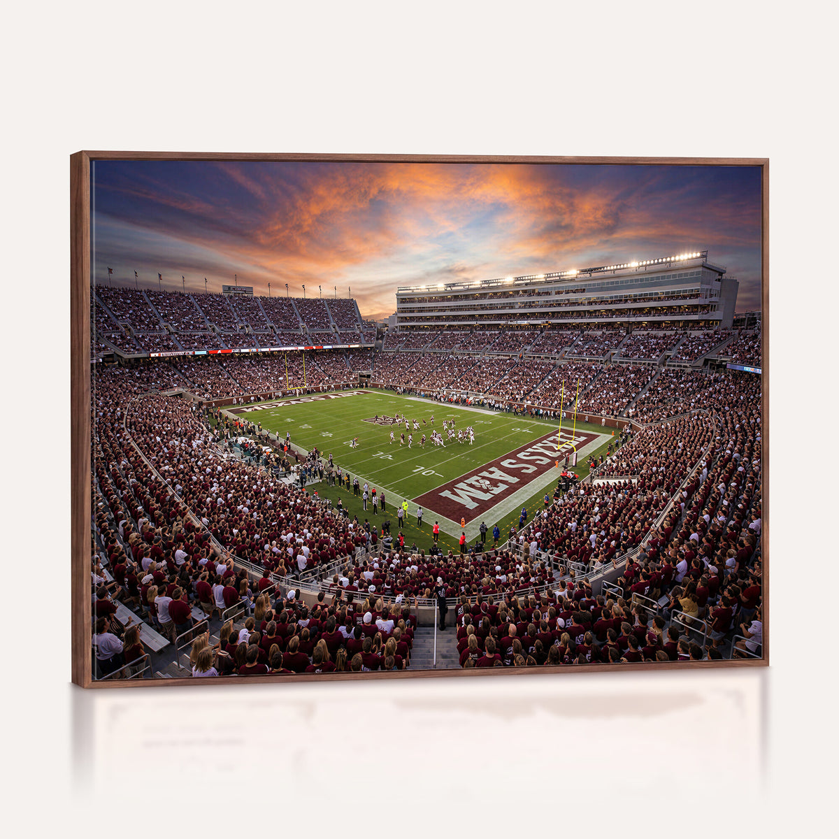66624578-MGV-CV-36X24 - Stadium Wall Art Canvas Print