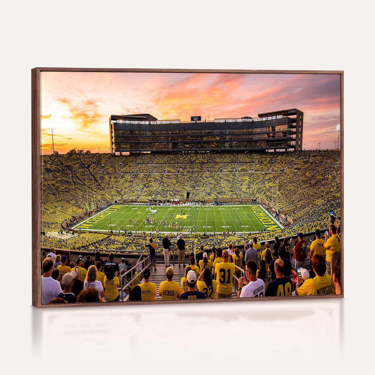 27265223-MGV-CV-36X24 - Stadium Wall Art Canvas Print