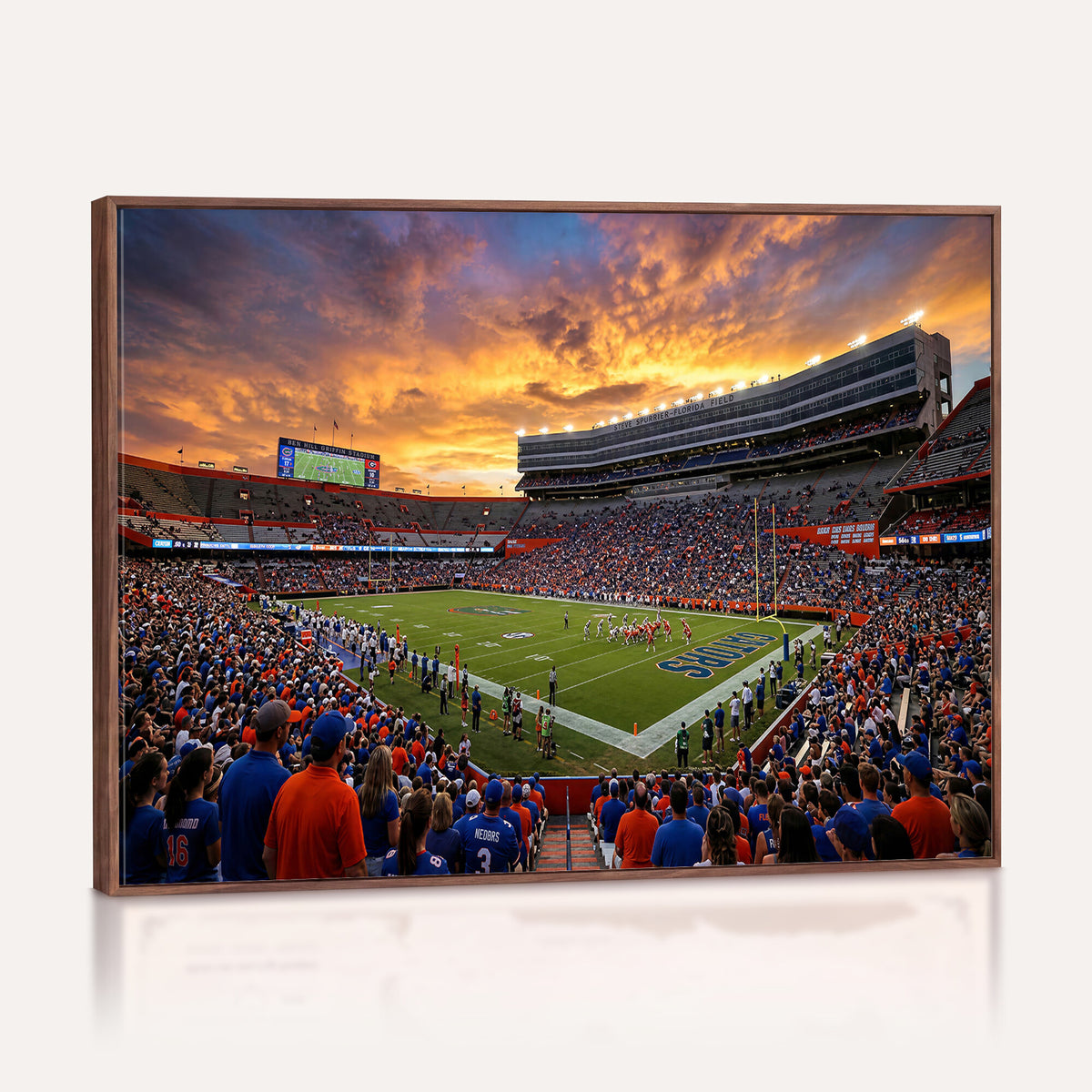 23829865-MGV-CV-36X24 - Stadium Wall Art Canvas Print