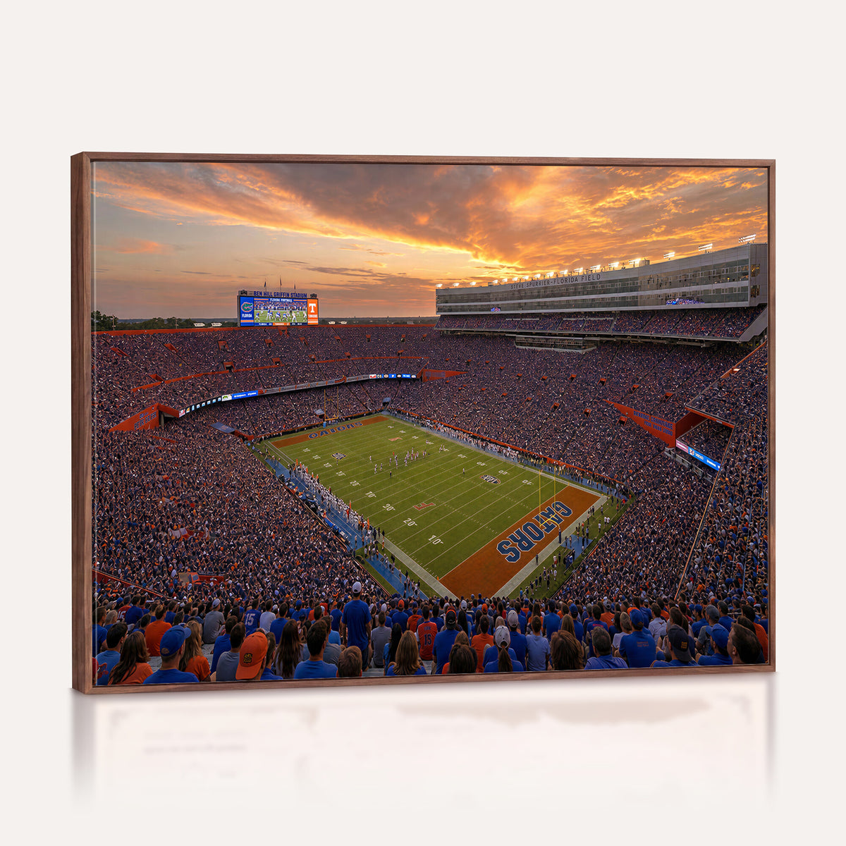 48009171-MGV-CV-36X24 - Stadium Wall Art Canvas Print