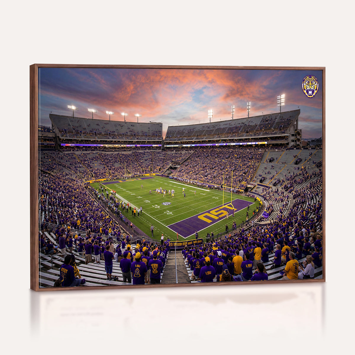 20281385-MGV-CV-36X24 - Stadium Wall Art Canvas Print