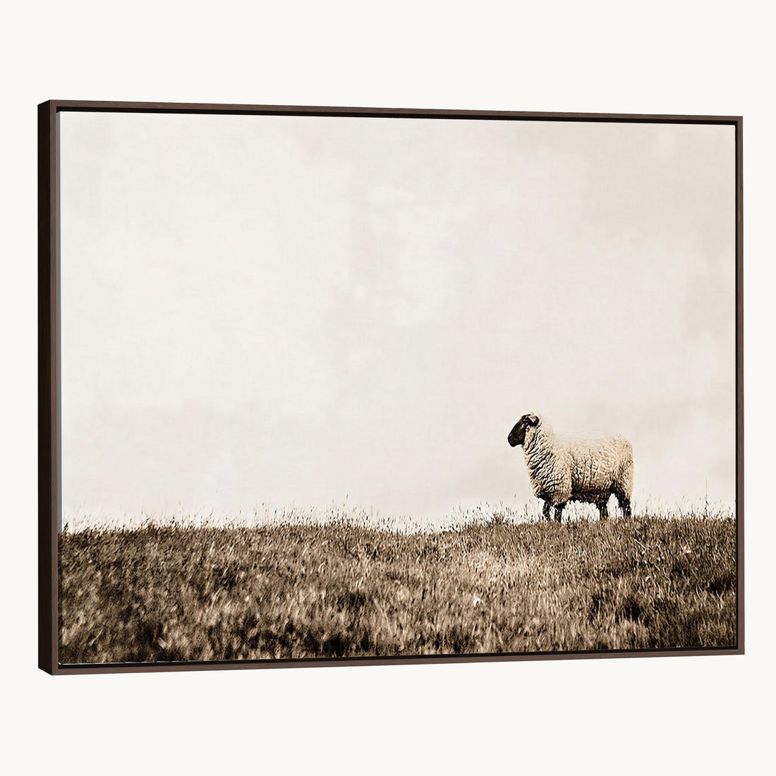 Minimalist Sepia Sheep Canvas Wall Art - Rustic Farmhouse Country Landscape Print