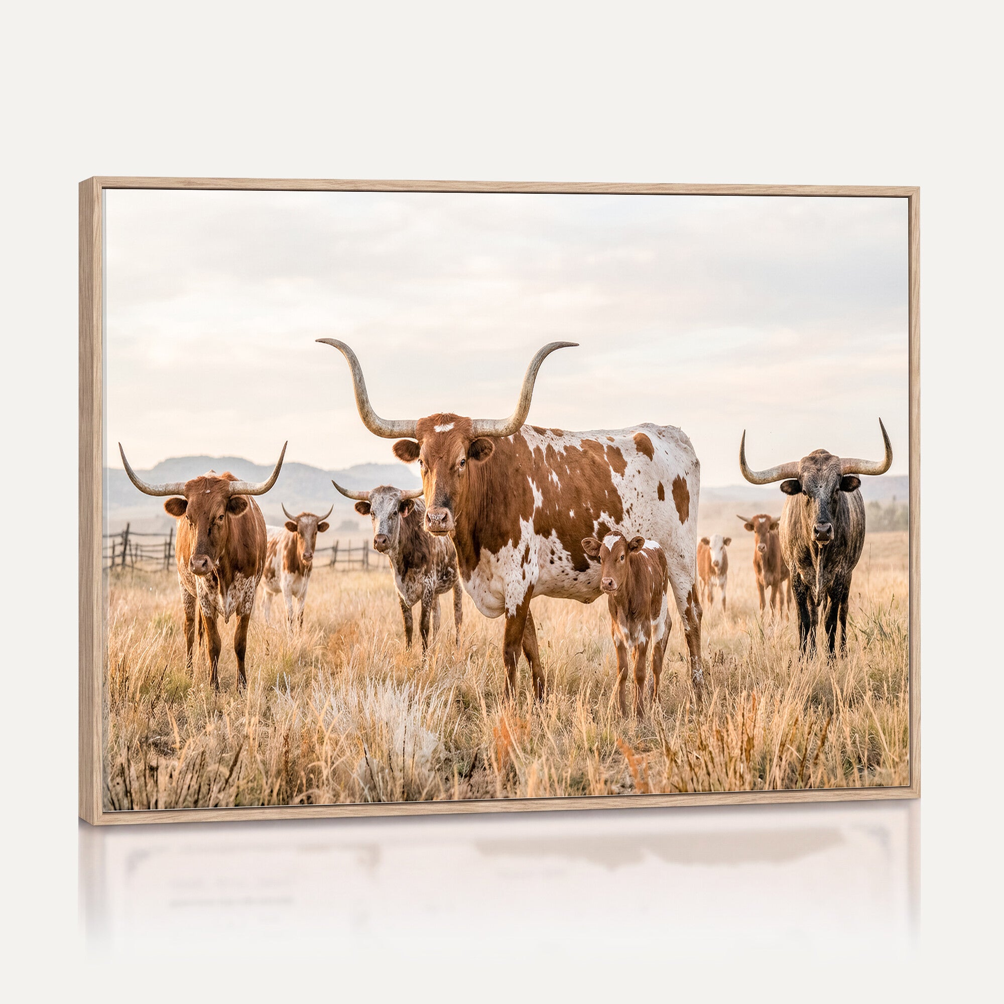 62336425AC-MGV-CV-36X24 - Texas Longhorn Canvas Wall Art, Rustic Farm Animal Photography Print, Farmhouse Country Decor, Western Ranch Art