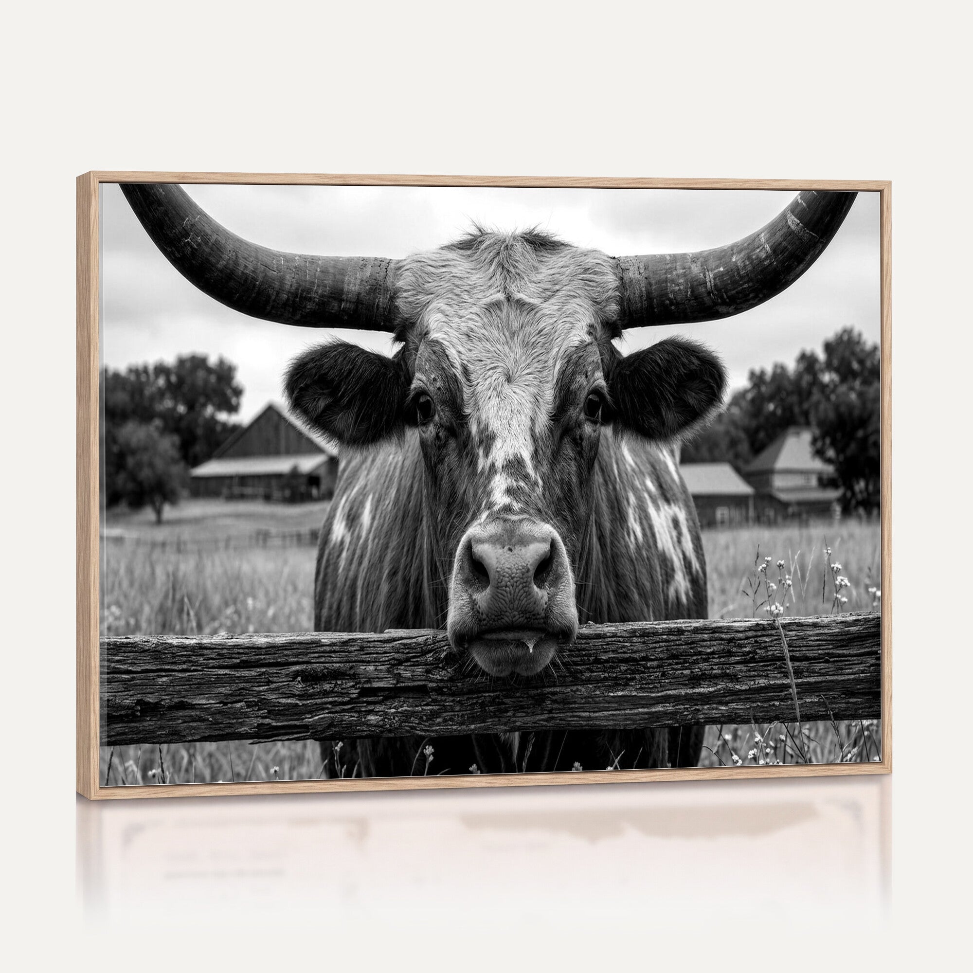 59378683B-MGV-CV-36X24 - Black White Texas Longhorn Bull Canvas Wall Art, Western Ranch Cattle Photography Print, Rustic Farmhouse Cowboy Decor Artwork