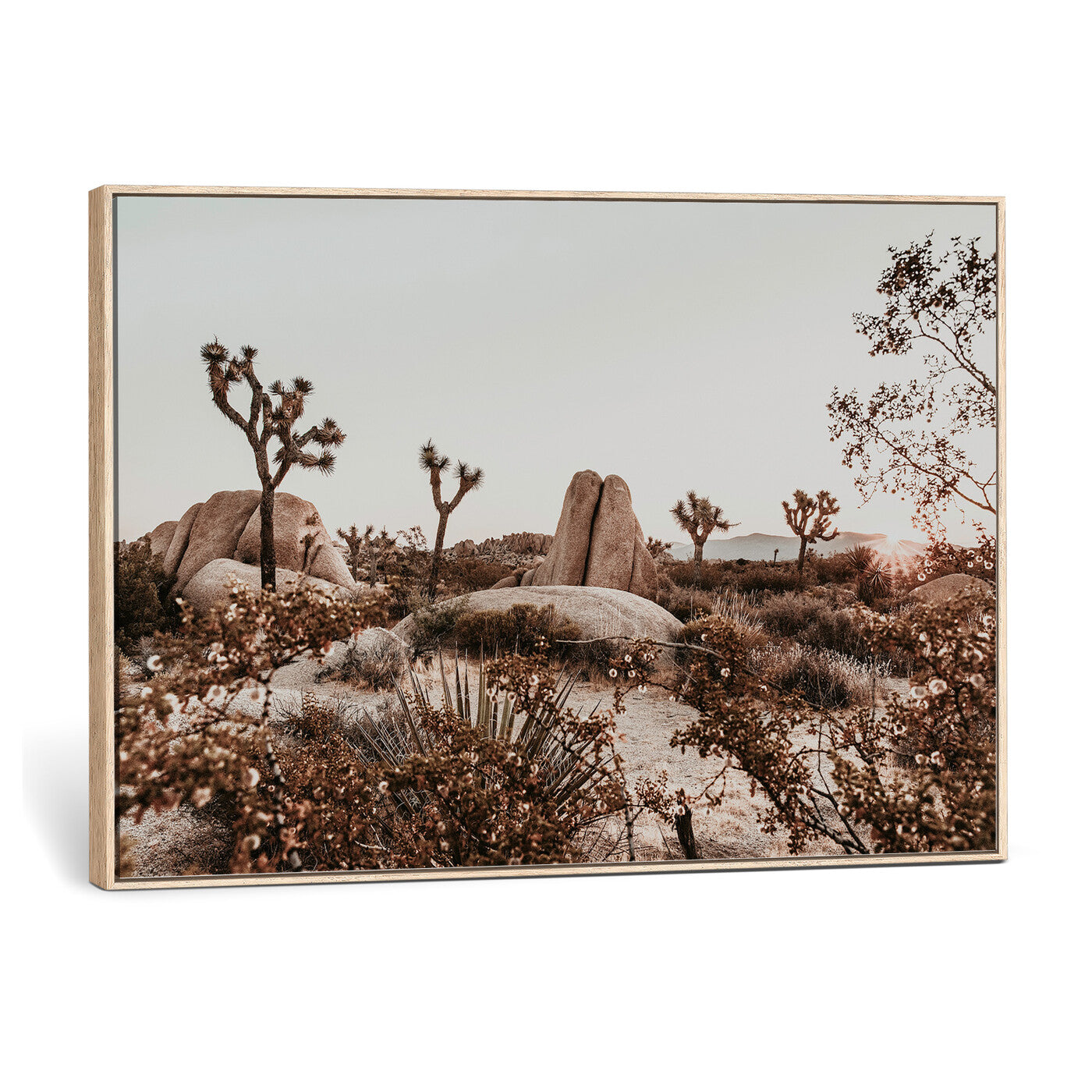 75778944-MGV-CV-36X24 - Joshua Tree Desert Canvas Wall Art Print - Desert Landscape Photography, Boho Southwest Wall Decor, Nature Canvas - Ready to Hang