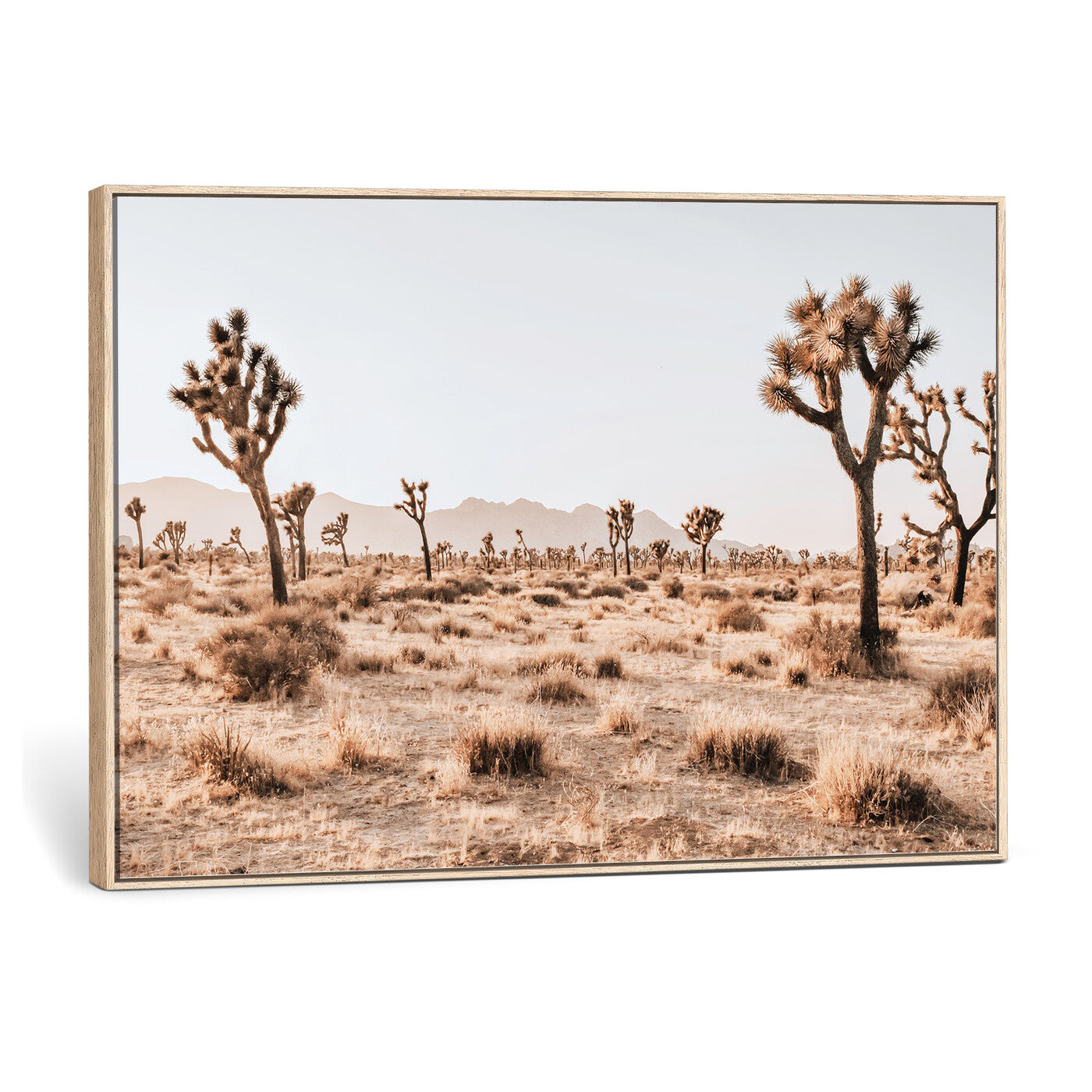 33549408-MGV-CV-36X24 - Joshua Tree Desert Canvas Wall Art Print - Desert Landscape Photography, Boho Southwest Wall Decor, Nature Canvas, Ready to Hang