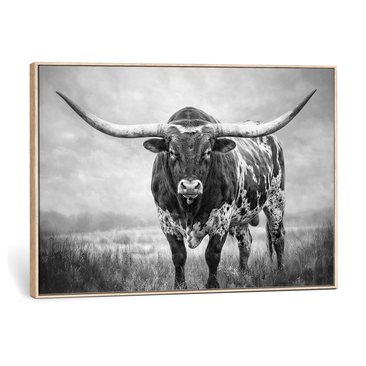 11121585-MGV-CV-36X24 - Texas Bull Wall Art Canvas Print for Farmhouse Restaurant Wall Decor