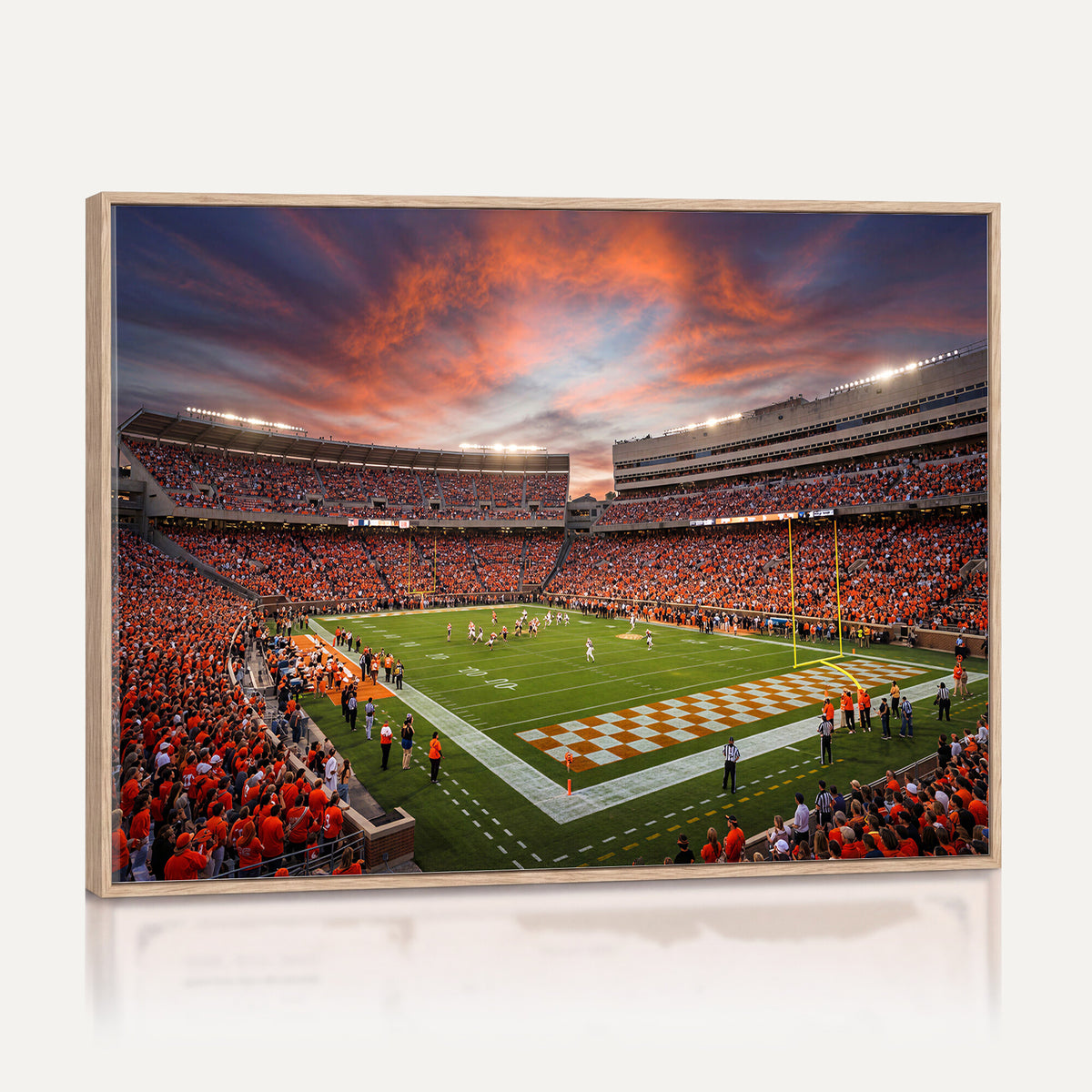 67648335-MGV-CV-36X24 - Stadium Wall Art Canvas Print