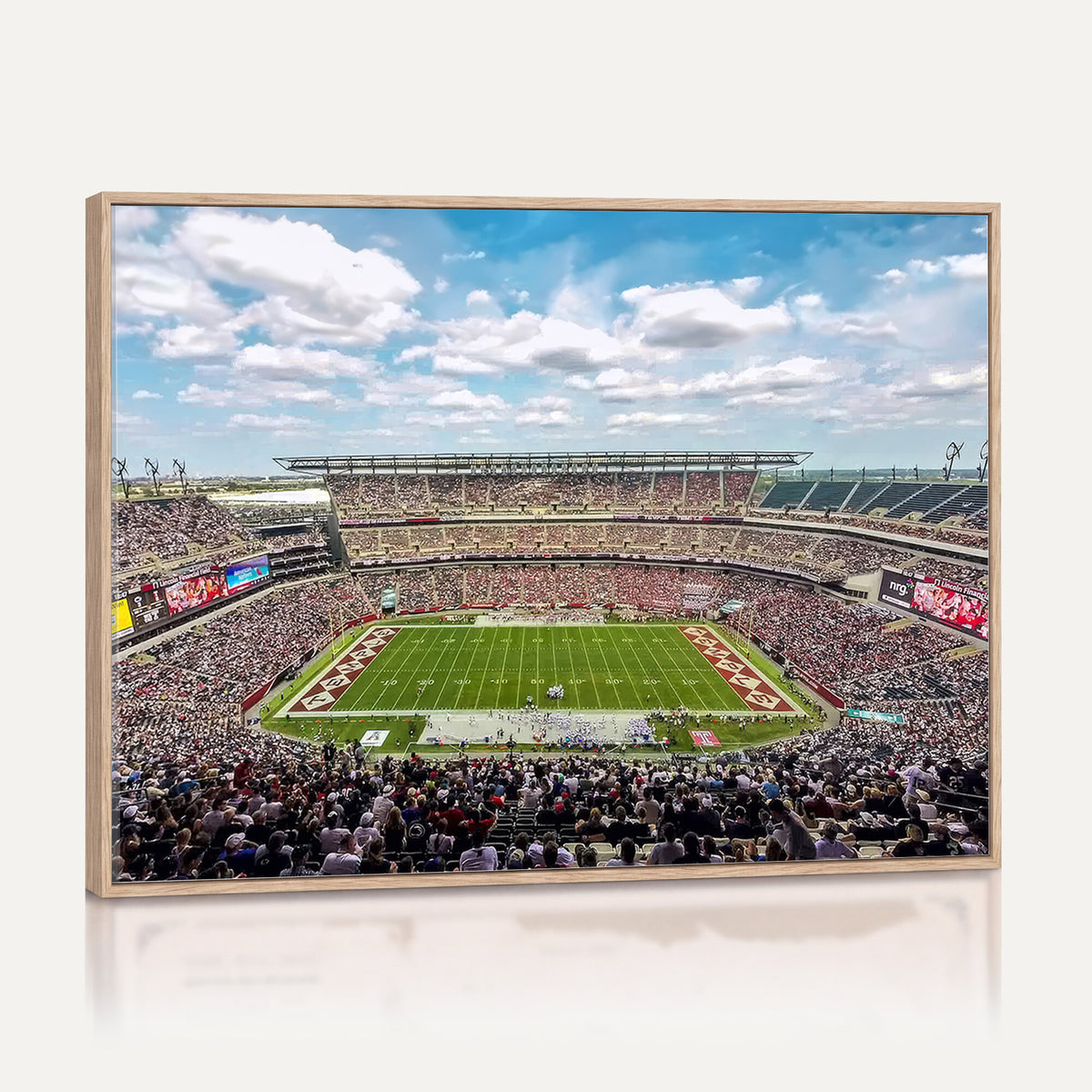 29243-PAN-FL-20X10 - The Temple University Owls Athletics Team Print - Philadelphia Lincoln Financial Field Stadium Wall