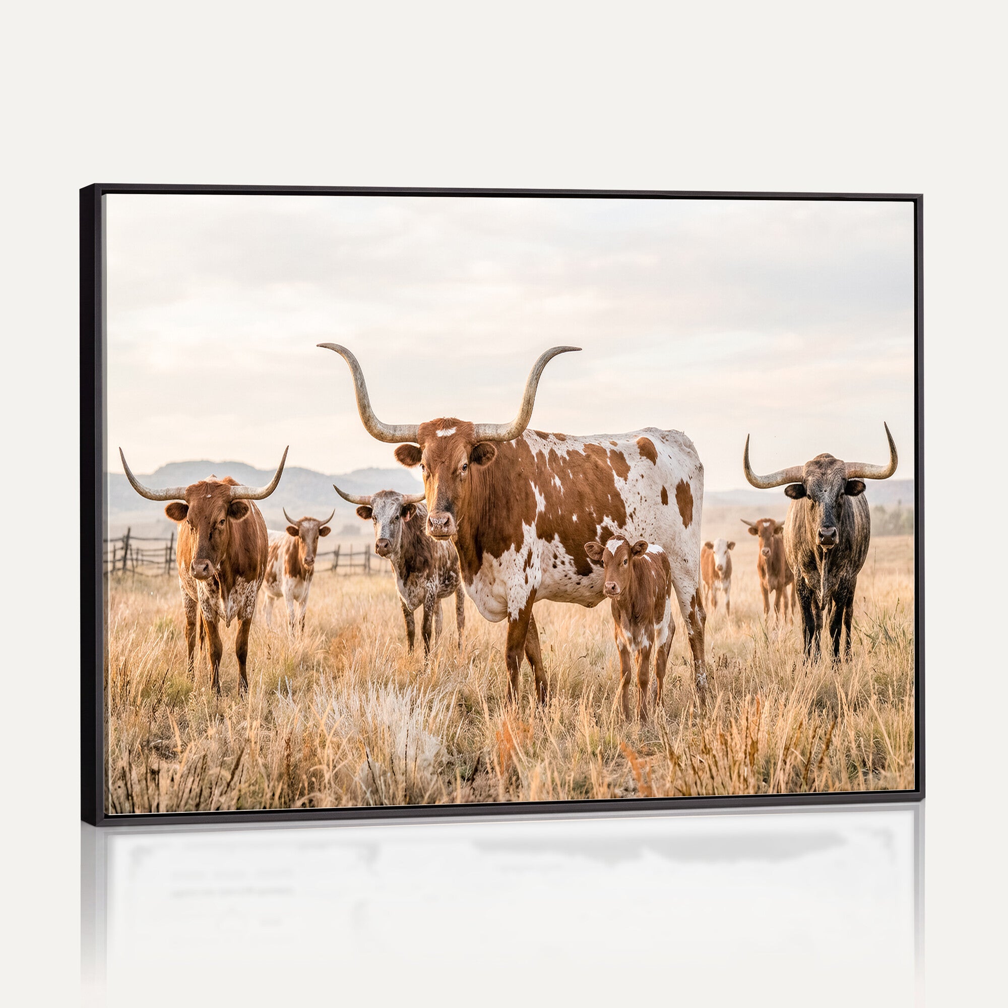 62336425AC-MGV-CV-36X24 - Texas Longhorn Canvas Wall Art, Rustic Farm Animal Photography Print, Farmhouse Country Decor, Western Ranch Art