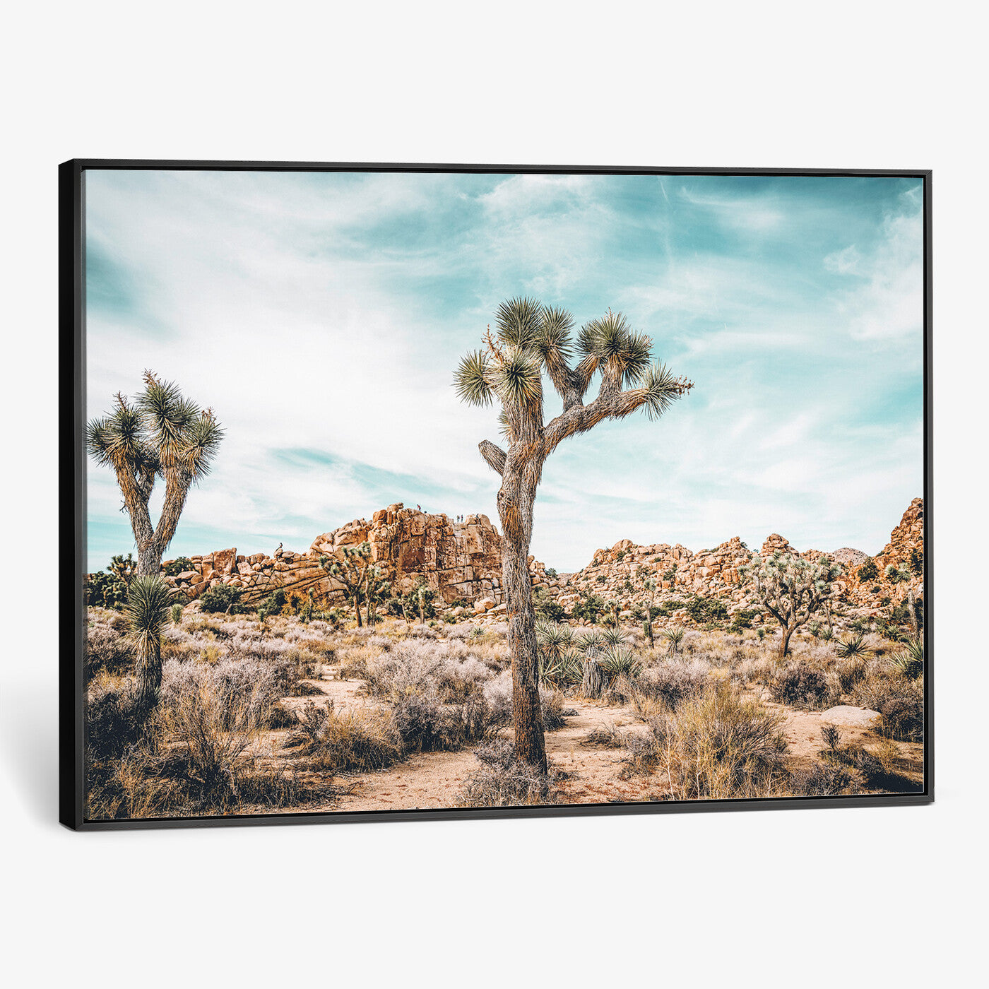 41451127-MGV-CV-36X24 - Joshua Tree National Park Canvas Wall Art Print, Desert Landscape Photography, Southwest Nature Decor - Ready to Hang
