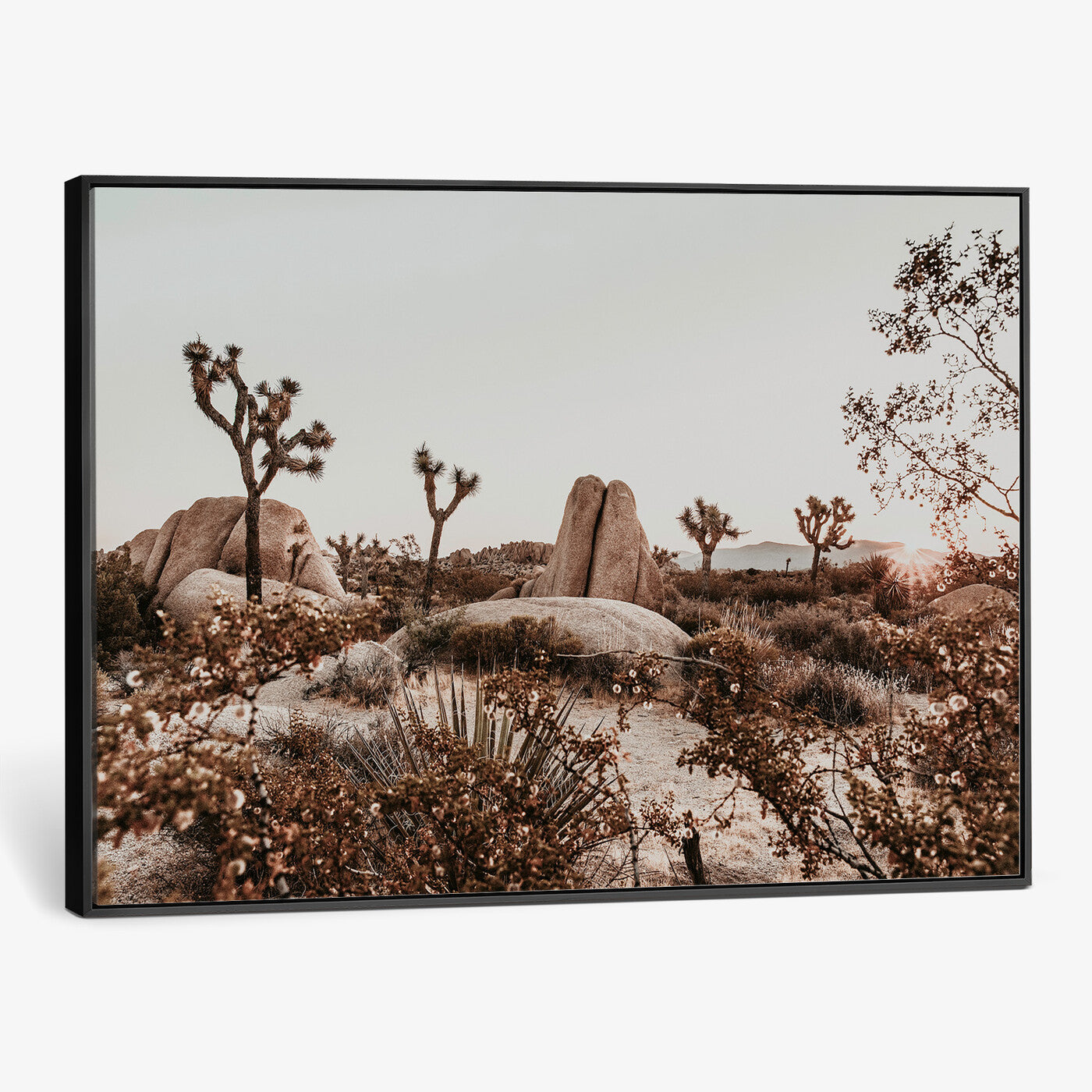 75778944-MGV-CV-36X24 - Joshua Tree Desert Canvas Wall Art Print - Desert Landscape Photography, Boho Southwest Wall Decor, Nature Canvas - Ready to Hang