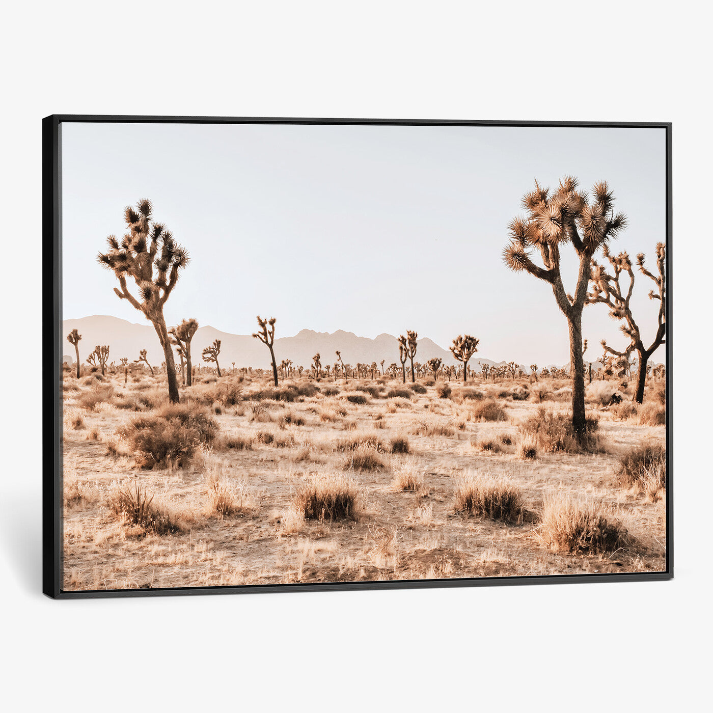 33549408-MGV-CV-36X24 - Joshua Tree Desert Canvas Wall Art Print - Desert Landscape Photography, Boho Southwest Wall Decor, Nature Canvas, Ready to Hang