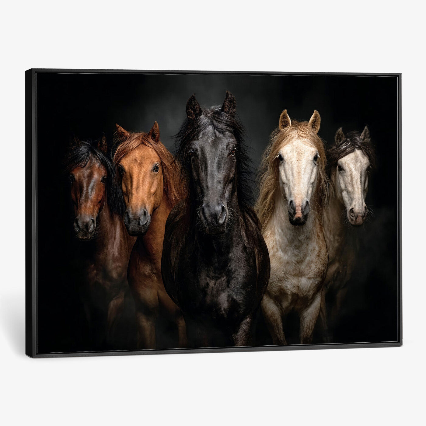 77696206-MGV-CV-36X24 - Horse Wall Art Canvas Print | Wild Horses Portrait Photography, Animal Horse Decor, Black Brown White Horse Herd