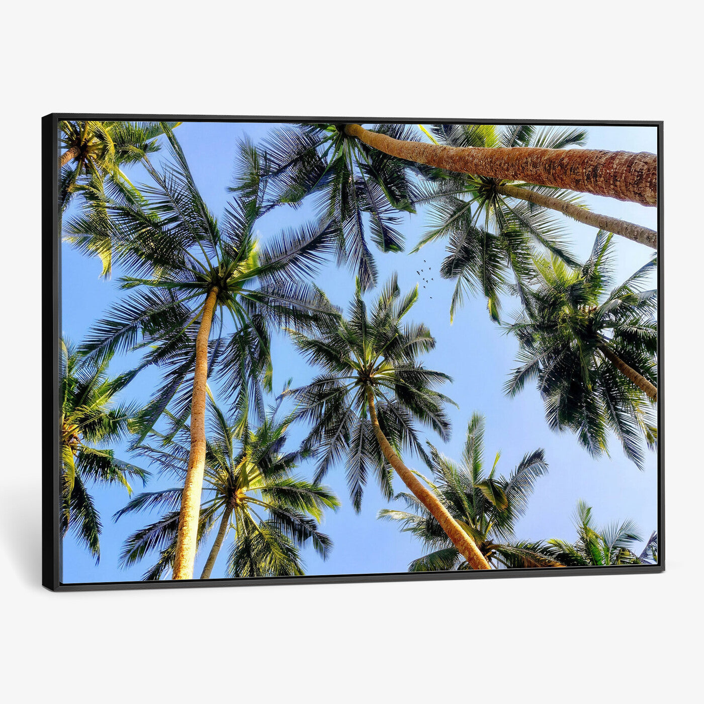 62263183-MGV-CV-36X24 - Wall Art Canvas Print