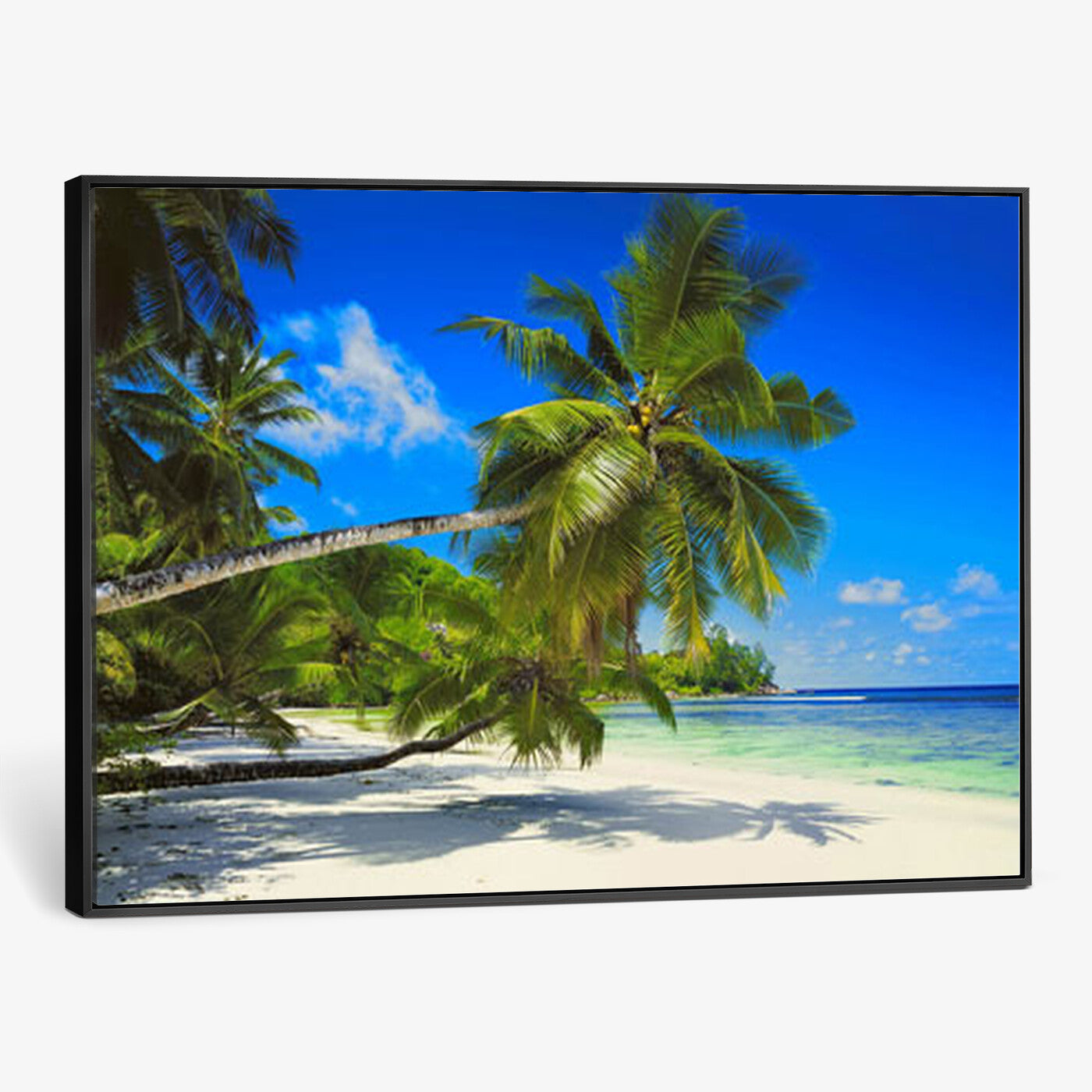 20475280-MGV-CV-36X24 - Tropical Island Coconut Palm Trees Wall Art Canvas Print - Turquoise Beach Print for Nautical Home Decor