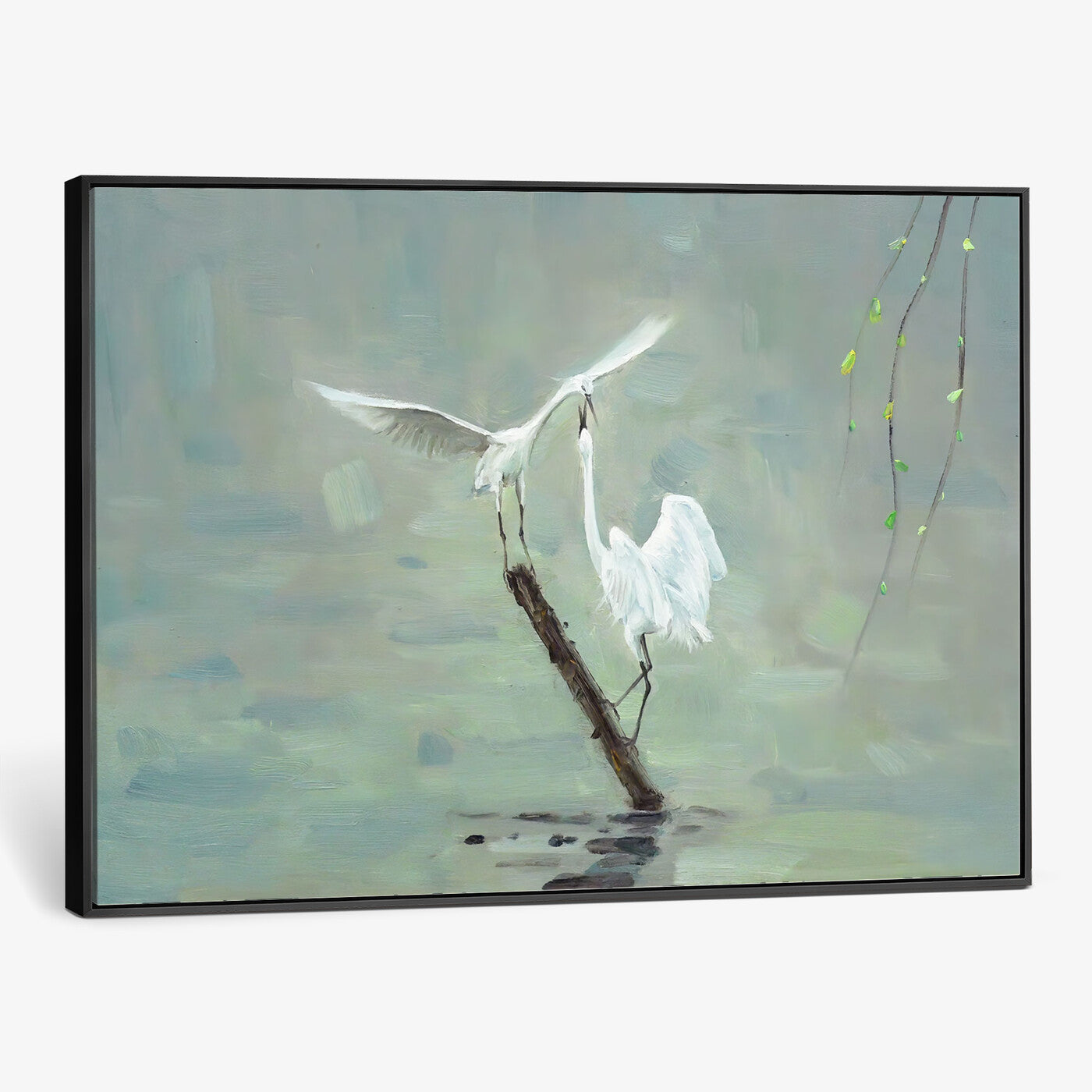91124838-MGV-CV-36X24 - Two White Egrets on Marsh Branch Wall Art Canvas Print - Vintage Style Coastal Bird Poster
