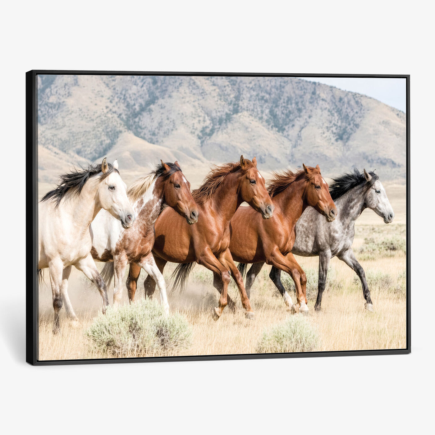68345893-MGV-CV-36X24 - Five Mustangs Running Wild in Mountain Valley Wall Art Canvas Print - Rustic Western Decor