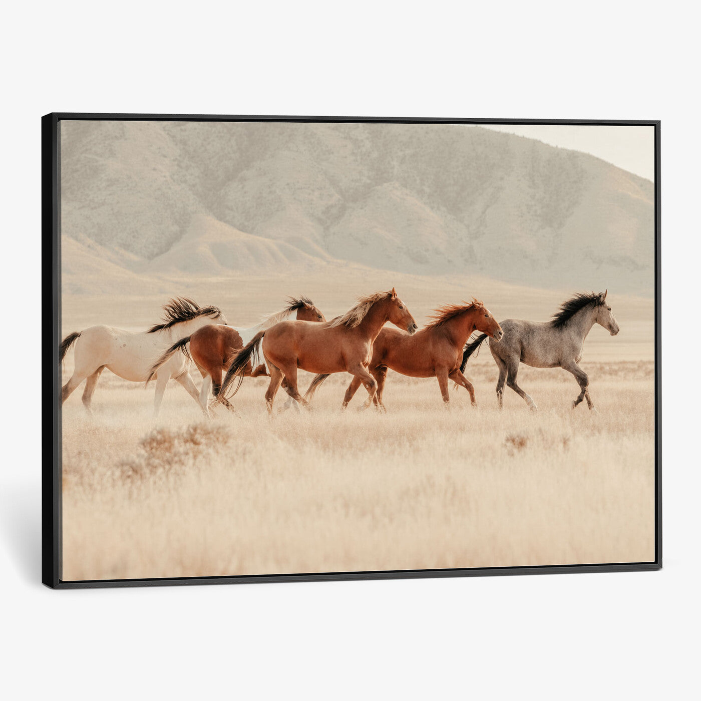 43348446-MGV-CV-36X24 - Herd of Wild Horses Running in Desert Mountain Wall Art Canvas Print - Boho Western Landscape