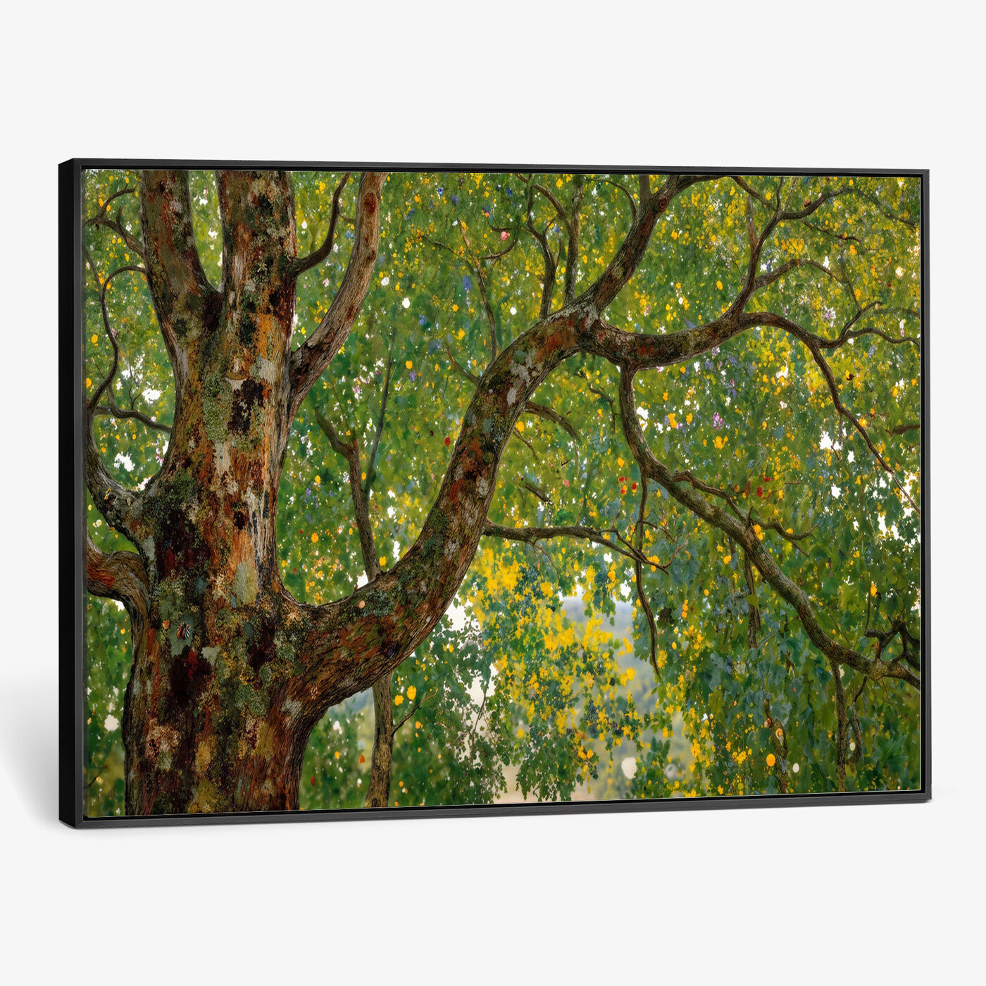 23663535-MGV-CV-36X24 - Vintage Summer Forest Green Tree Wall Art Canvas Print, Lush Leaves Impressionist Painting Print