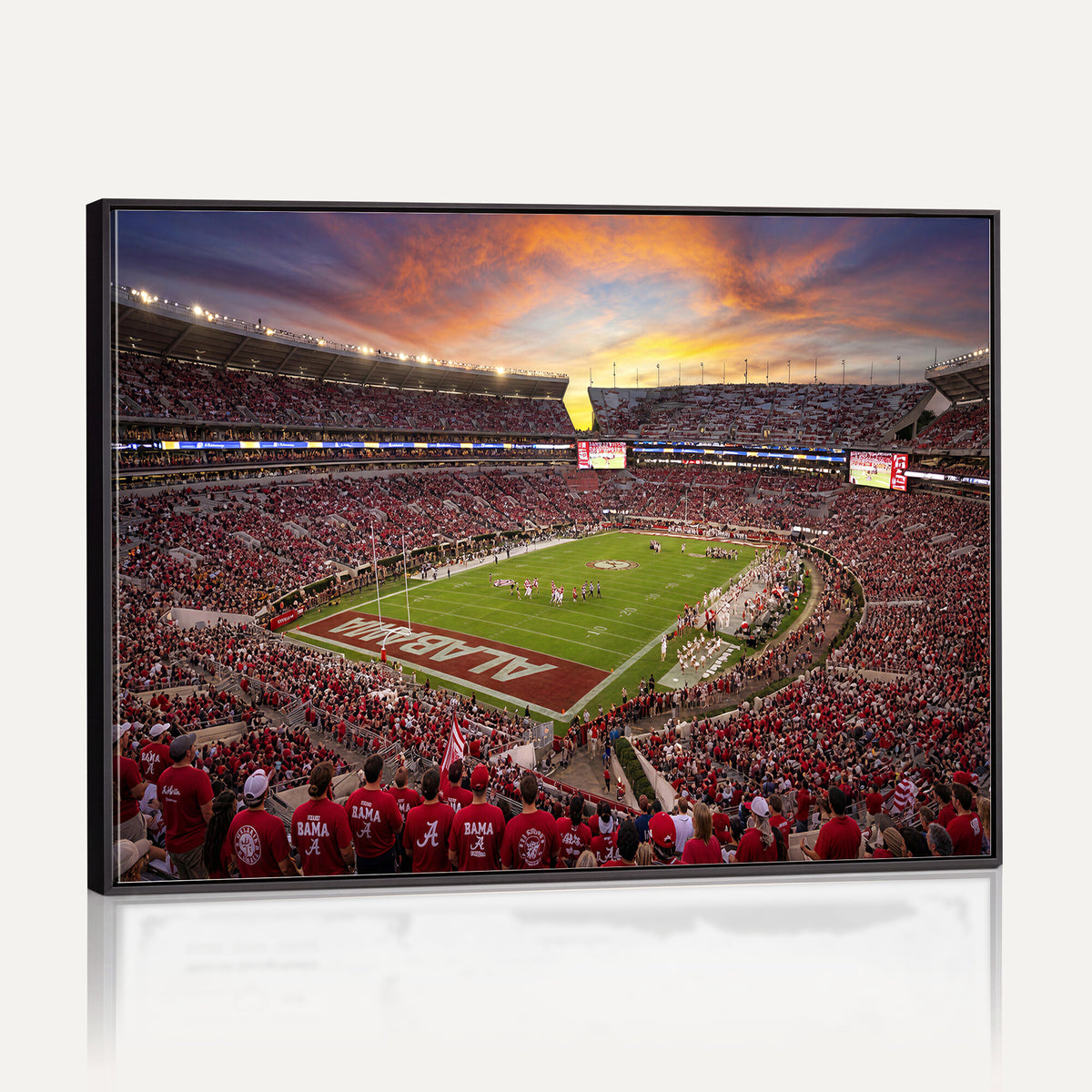 41995919-MGV-CV-36X24 - Stadium Wall Art Canvas Print