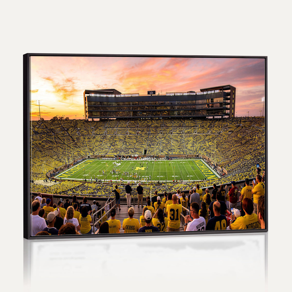 27265223-MGV-CV-36X24 - Stadium Wall Art Canvas Print