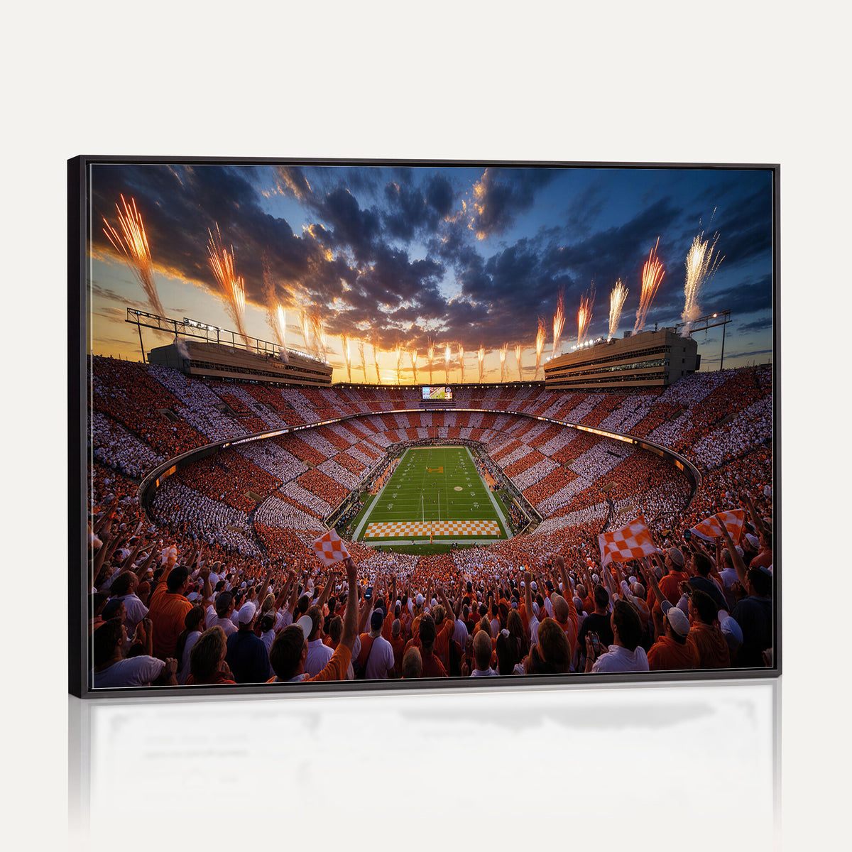 29672818-MGV-CV-36X24 - Stadium Wall Art Canvas Print