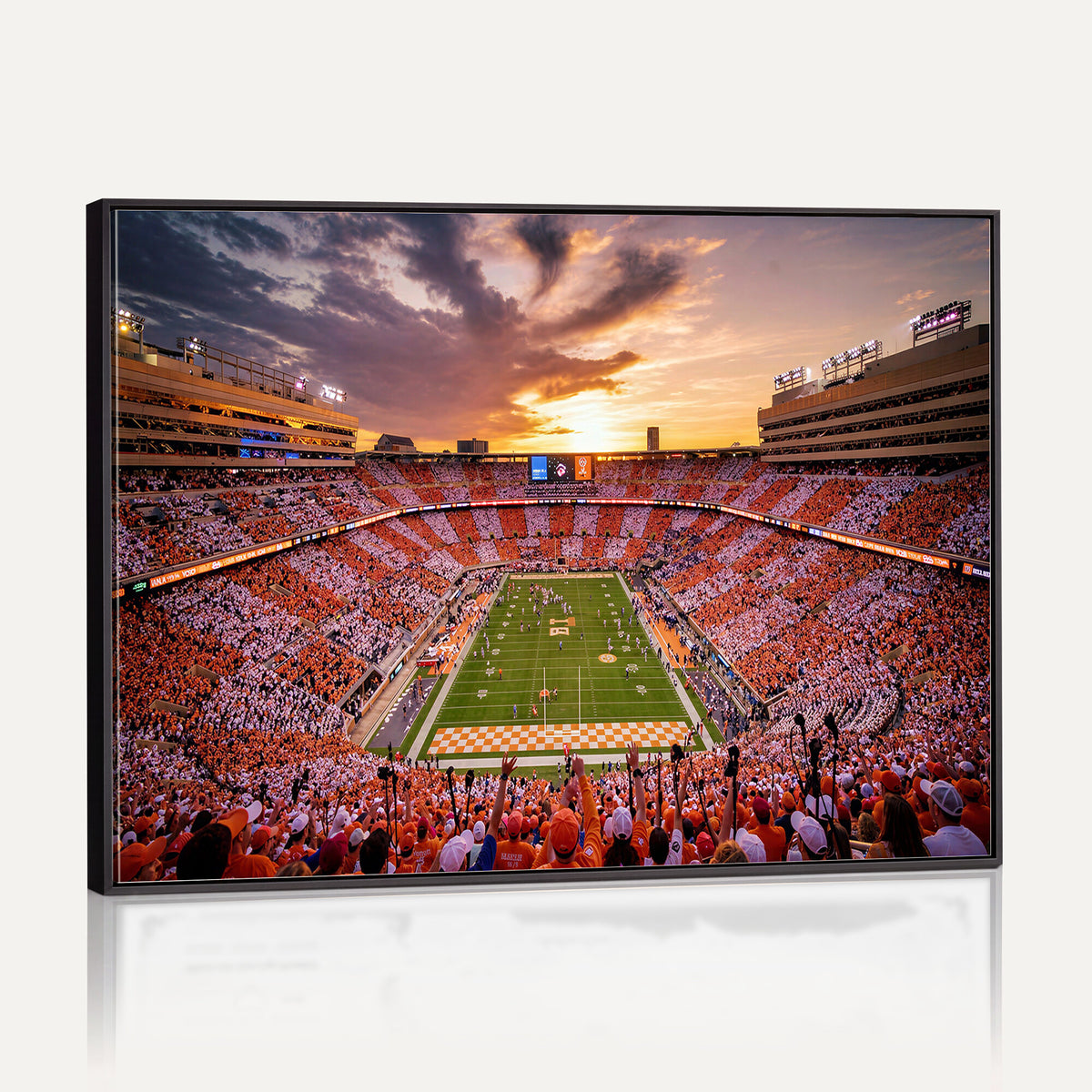 68184875-MGV-CV-36X24 - Stadium Wall Art Canvas Print
