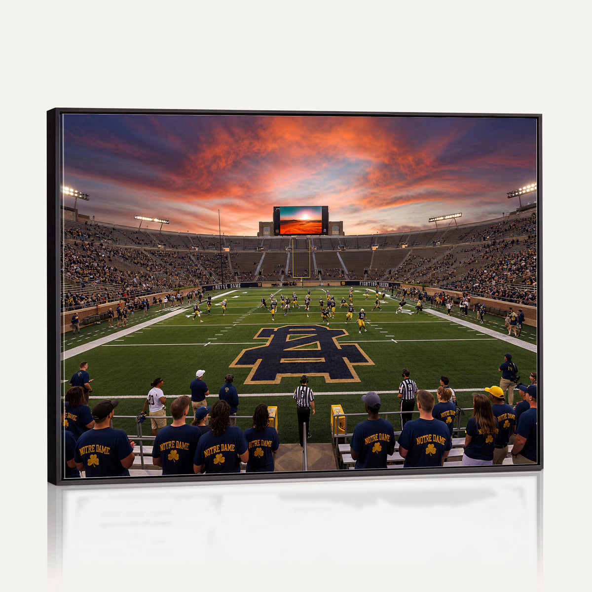 75411323-MGV-CV-36X24 - Stadium Wall Art Canvas Print