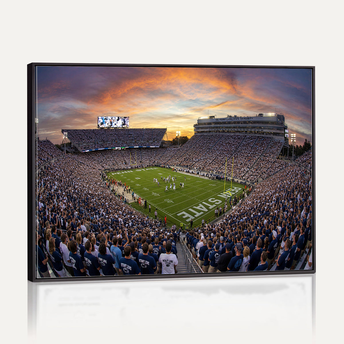 29008668-MGV-CV-36X24 - Stadium Wall Art Canvas Print