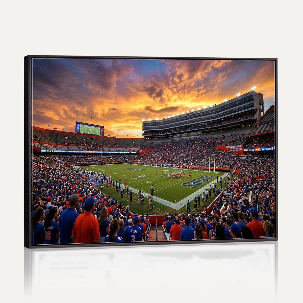 23829865-MGV-CV-36X24 - Stadium Wall Art Canvas Print
