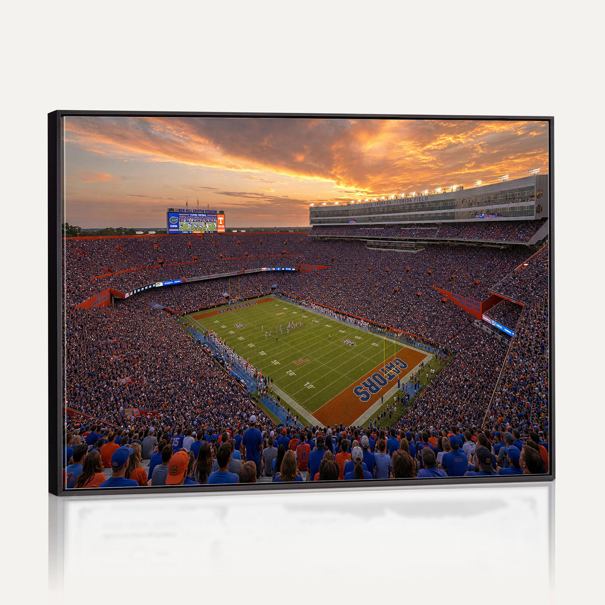 48009171-MGV-CV-36X24 - Stadium Wall Art Canvas Print