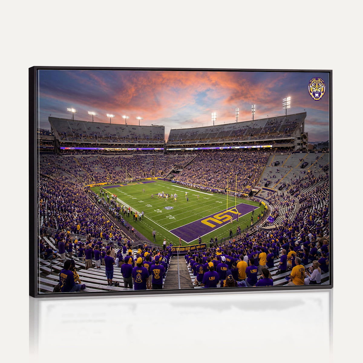 20281385-MGV-CV-36X24 - Stadium Wall Art Canvas Print