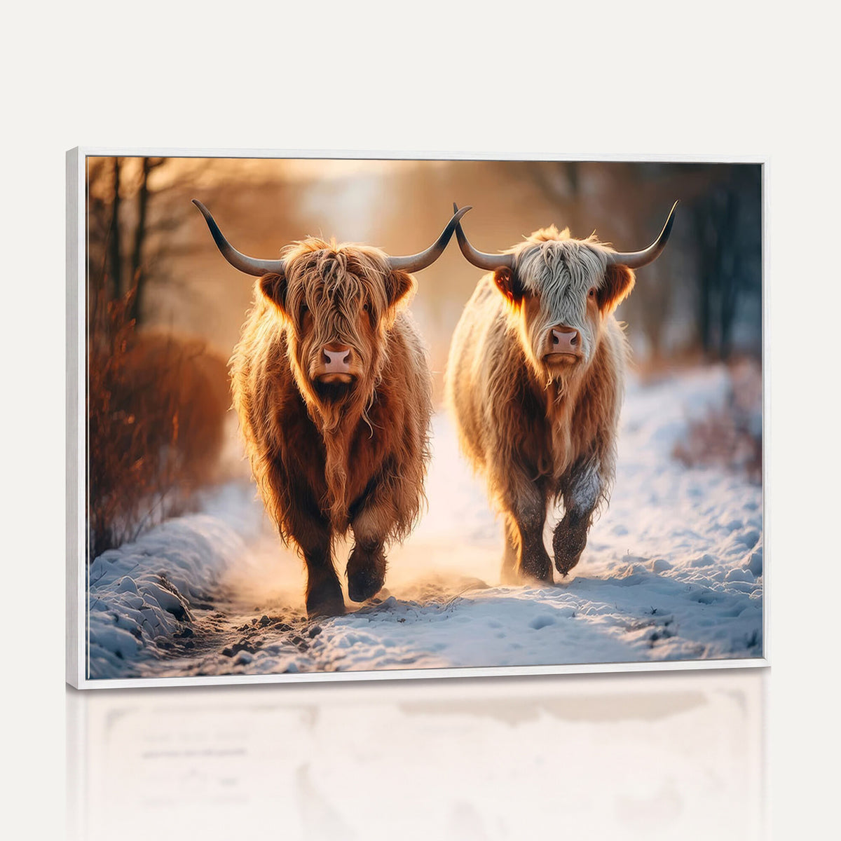 94810-_Poster-30x20 - Scottish Highland Cow Horn Farm Wall Art Canvas Print