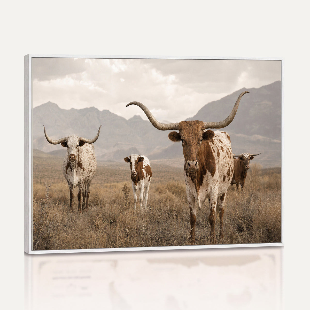 62336425AD-MGV-CV-36X24 - Rustic Texas Longhorn Cow Canvas Wall Art Print, Rustic Farm Animal Photography Print, Farmhouse Country Decor, Western Ranch Art