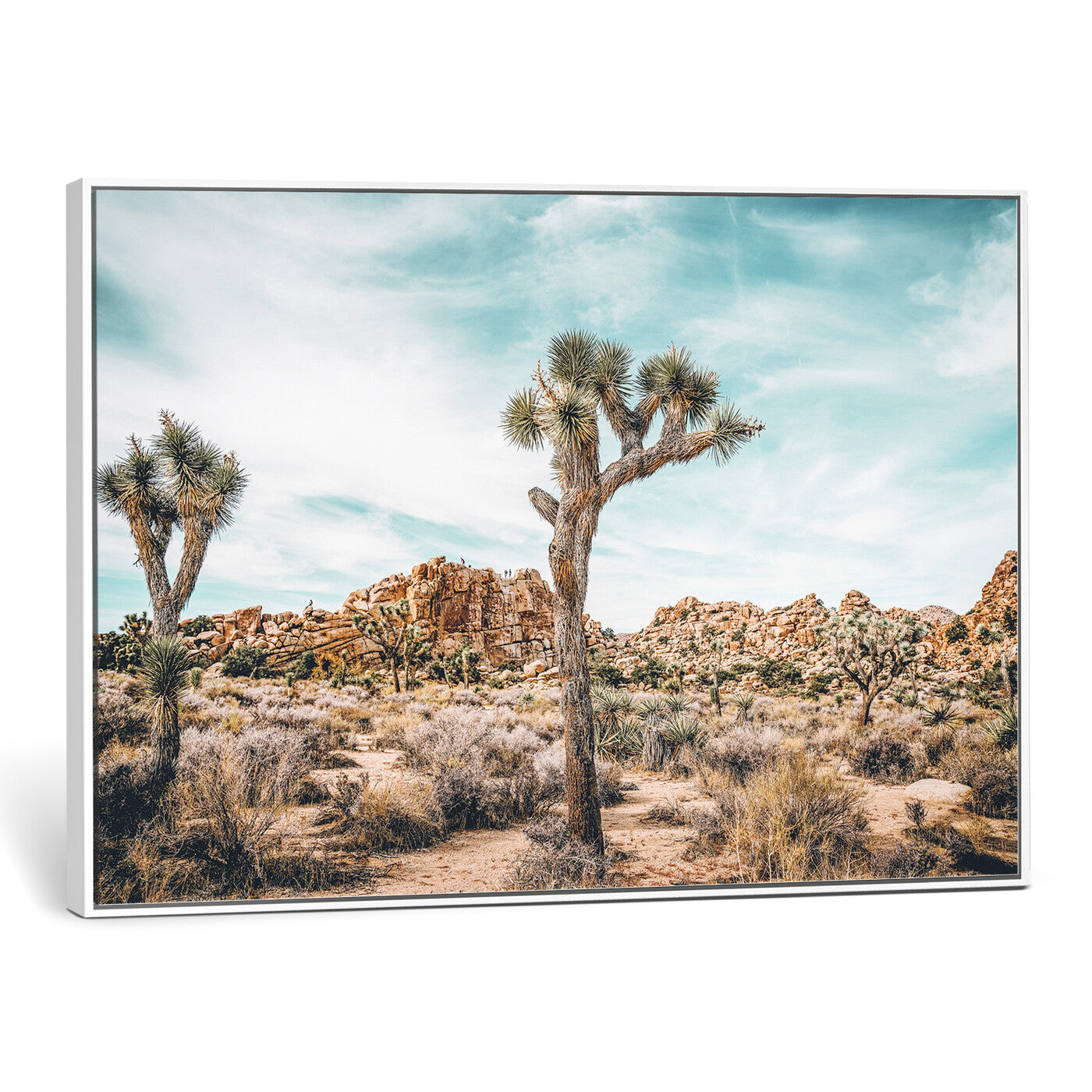 41451127-MGV-CV-36X24 - Joshua Tree National Park Canvas Wall Art Print, Desert Landscape Photography, Southwest Nature Decor - Ready to Hang