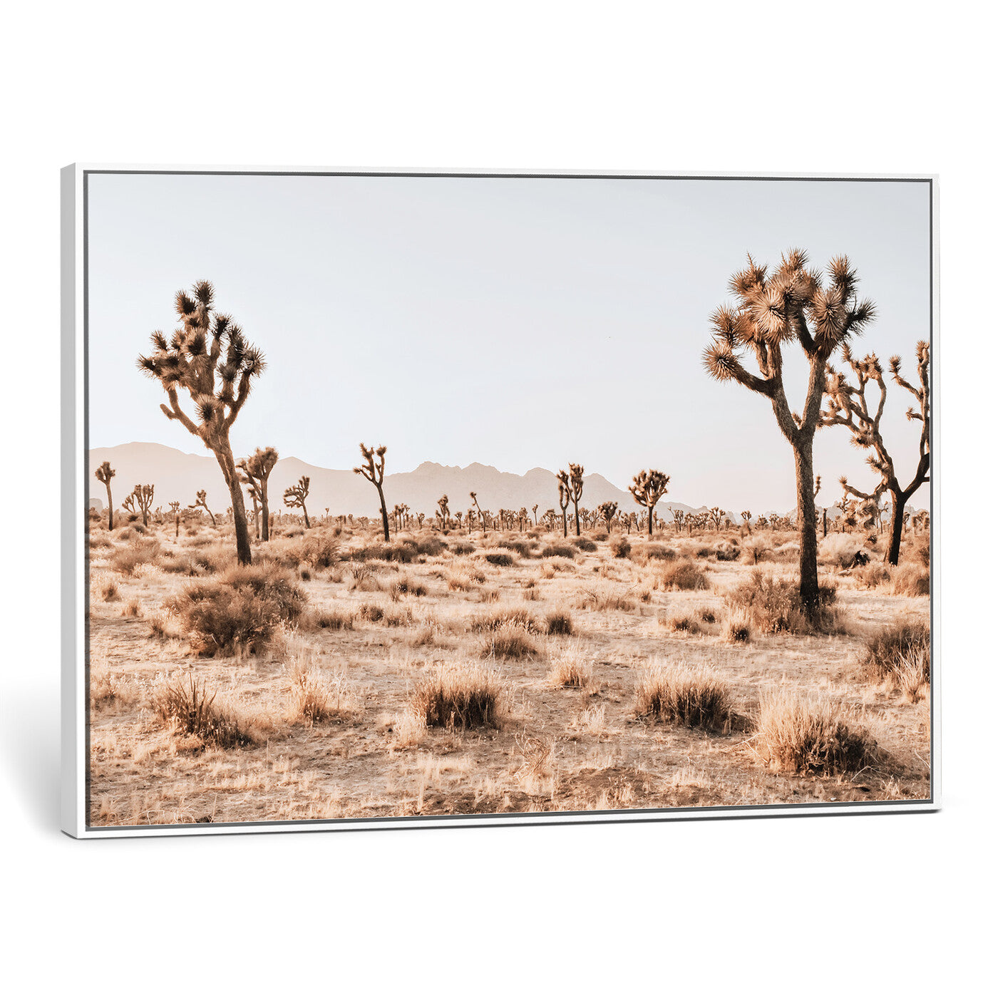 33549408-MGV-CV-36X24 - Joshua Tree Desert Canvas Wall Art Print - Desert Landscape Photography, Boho Southwest Wall Decor, Nature Canvas, Ready to Hang