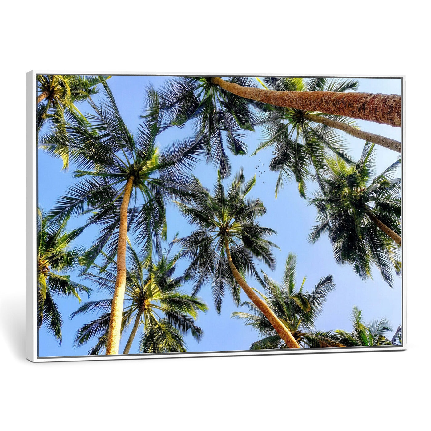 62263183-MGV-CV-36X24 - Wall Art Canvas Print