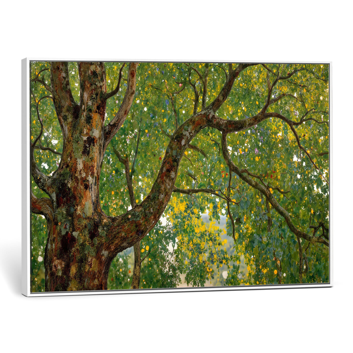 23663535-MGV-CV-36X24 - Vintage Summer Forest Green Tree Wall Art Canvas Print, Lush Leaves Impressionist Painting Print