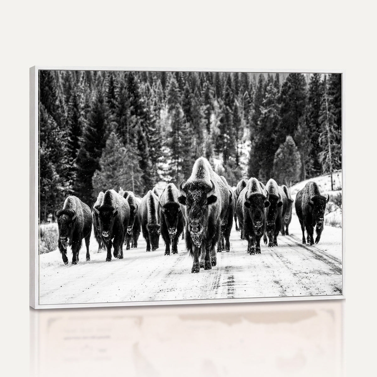 79337077-MGV-CV-36X24 - Black and White Bison Canvas Art, American Buffalo Print, Winter Wildlife Photography, Rustic Forest Wall Decor, Large Statement Nature Gift