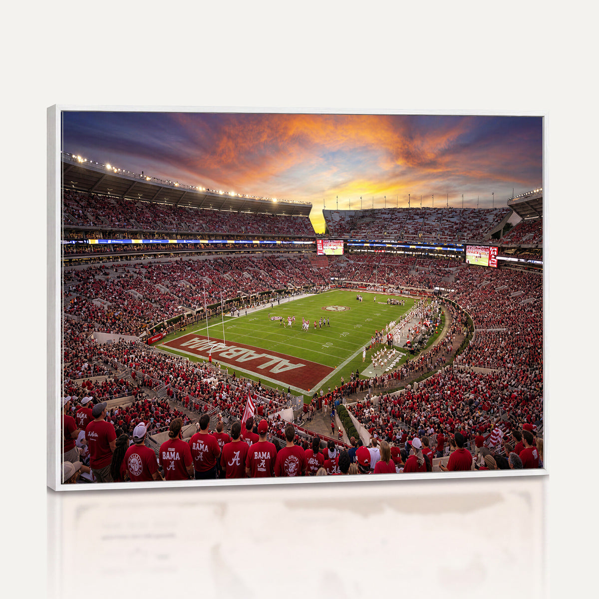 41995919-MGV-CV-36X24 - Stadium Wall Art Canvas Print